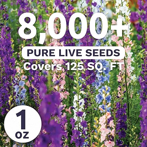 Miniatura 2 de Rocket Larkspur - Semillas imperiales de flores silvestres a granel para plantar  Paquete grande de 1 onza  por Sweet Yards