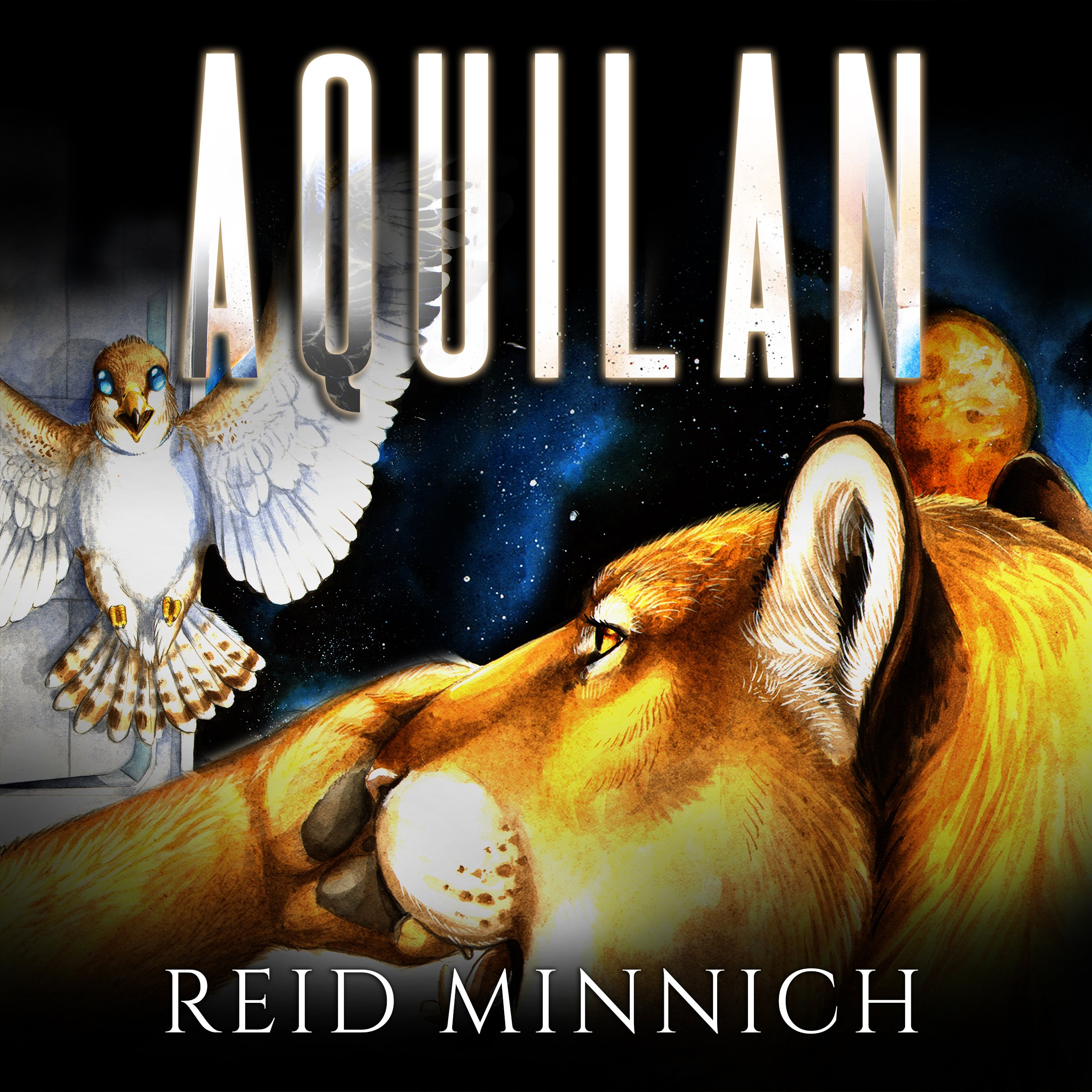 Cover art for Aquilan