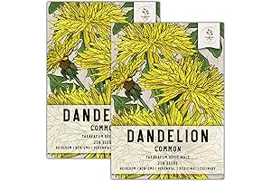 Premium Taraxacum officinale Seeds for Happy Sulcata Tortoises