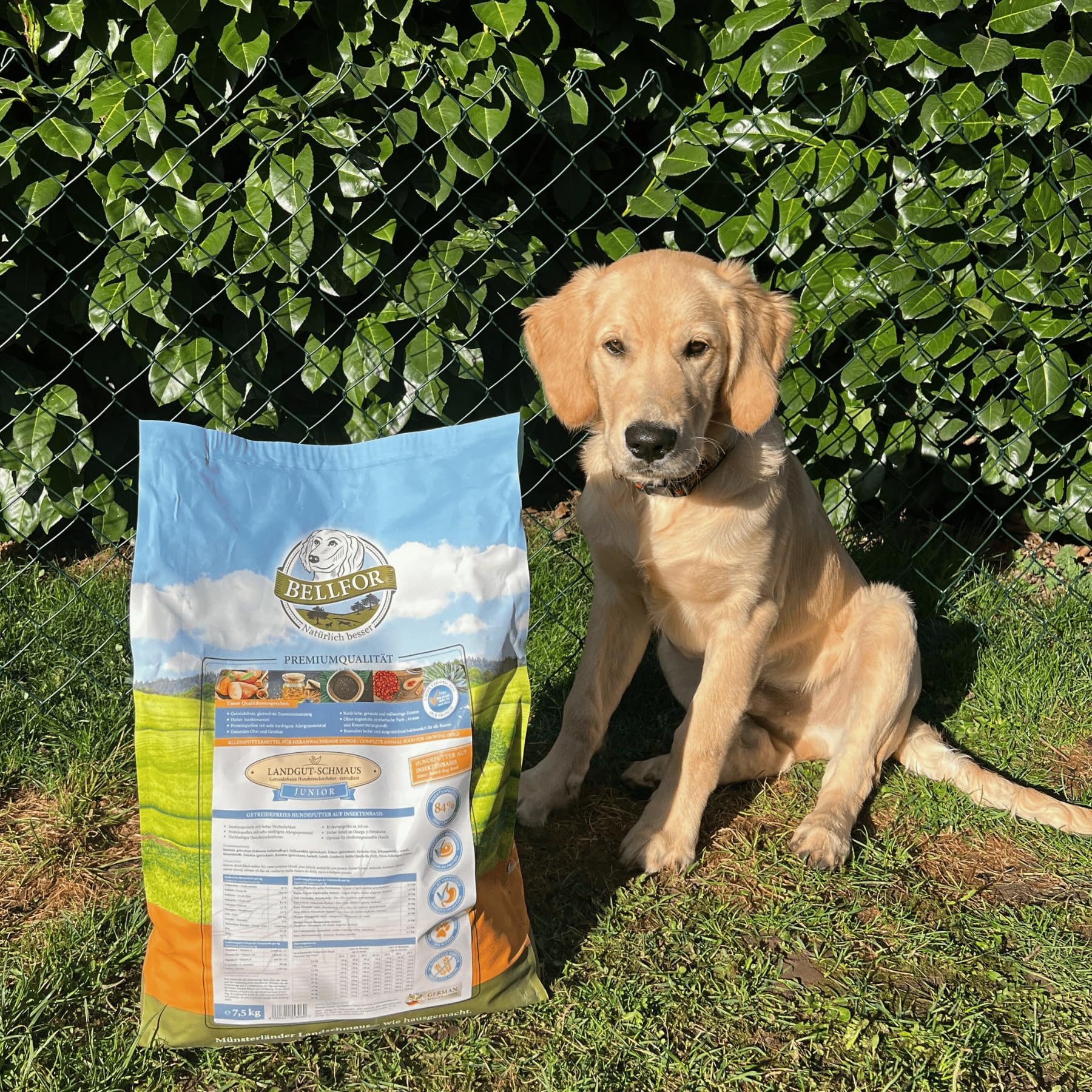 Comida seca para cachorros - Landgut-Schmaus Junior de Bellfor Comida seca para perros sin cereales con proteína de insectos para perros jóvenes. Comida hipoalergénica para perros. (7,5)