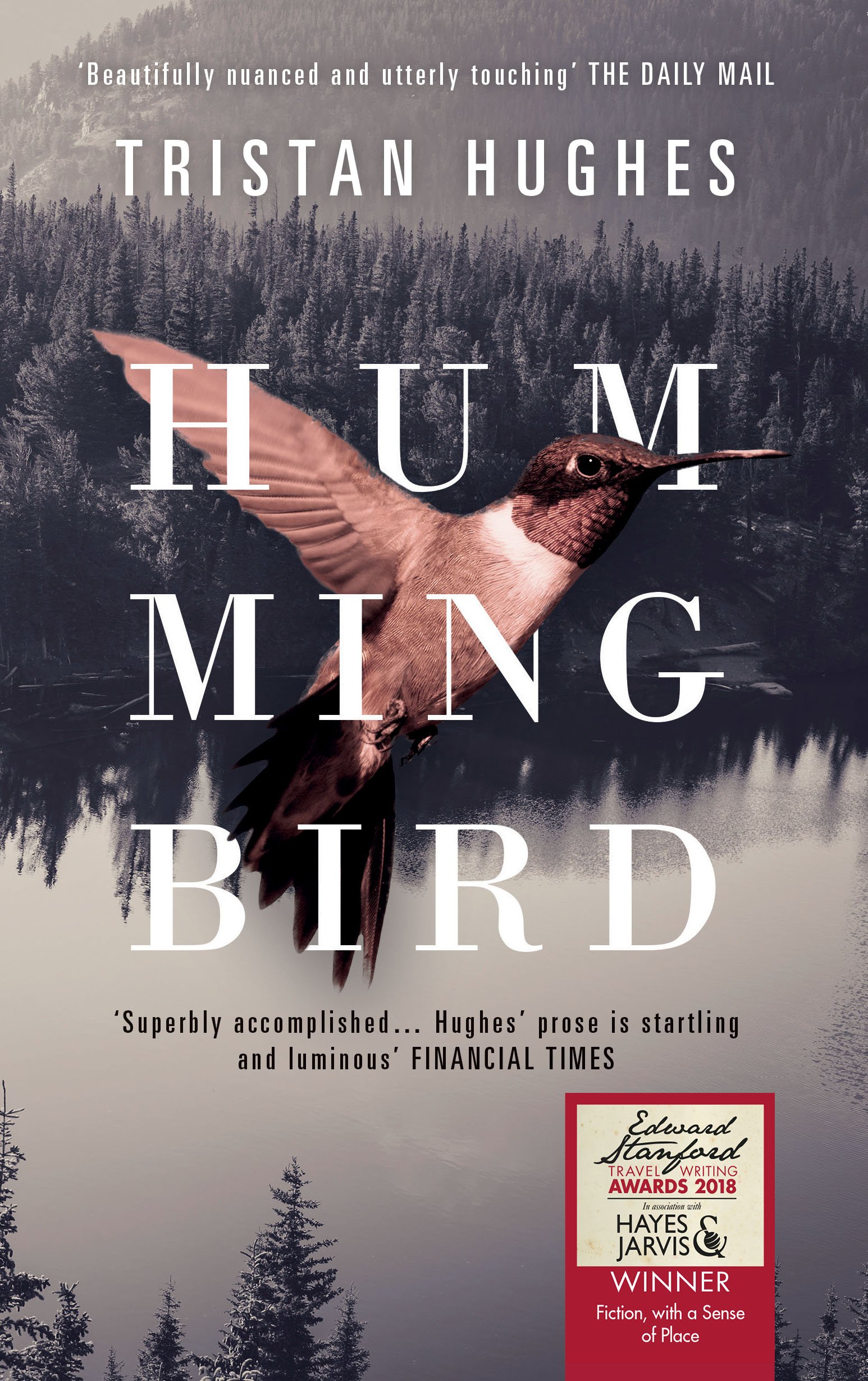 Hummingbird
