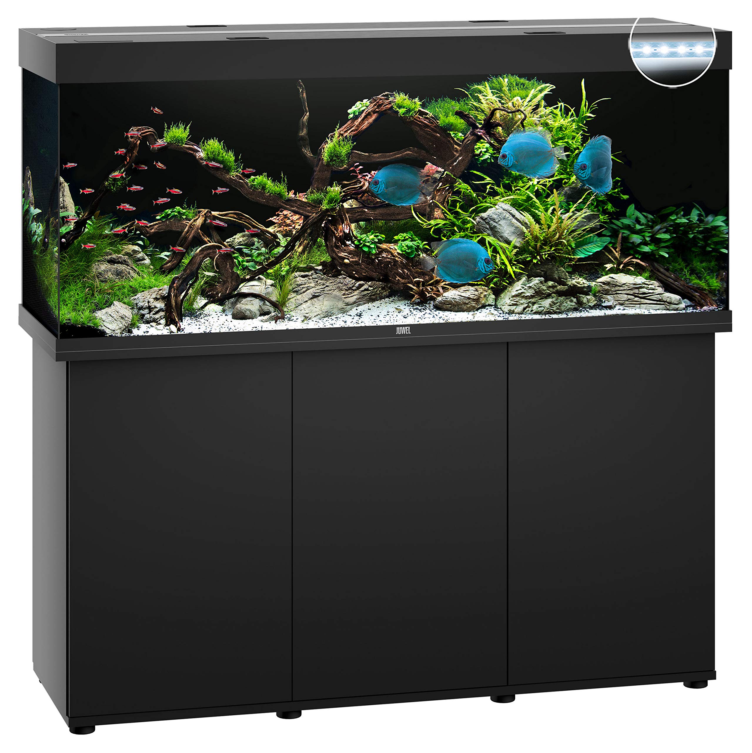 Juwel Aquarium, Rio 450 LED, Acquario con mobiletto SBX