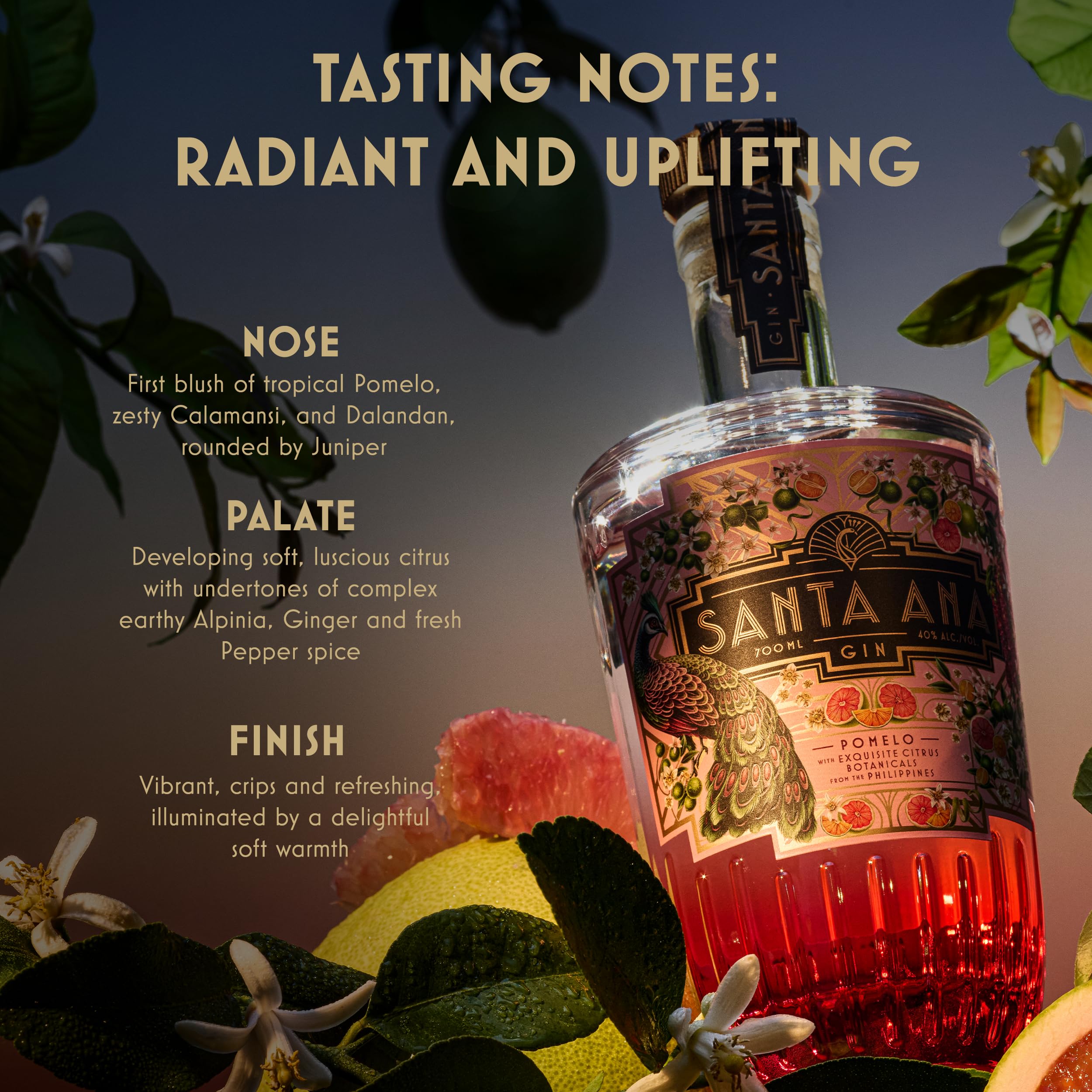 Santa Ana Gin Pomelò 70cl