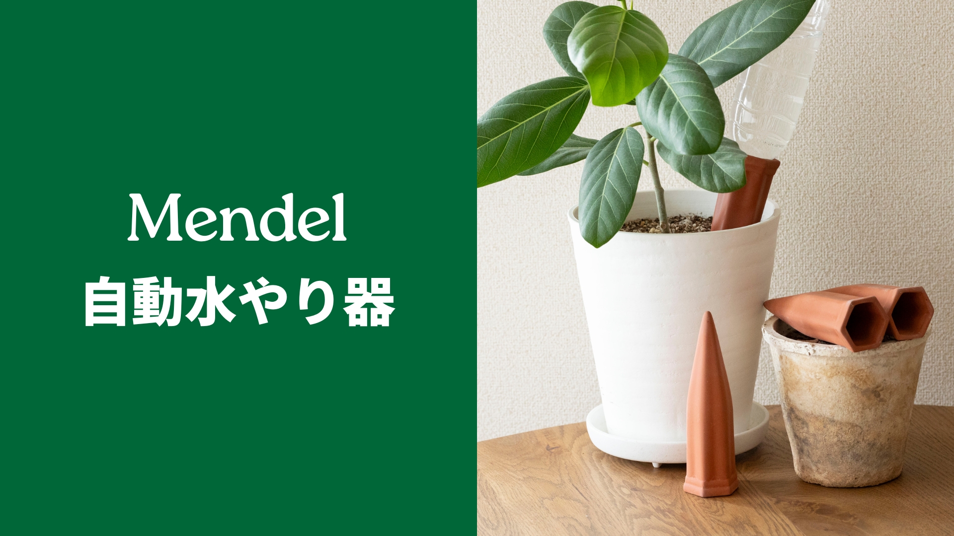 Amazon.co.jp: Mendel 自動水やり器 留守中も安心 自動給水器 植物