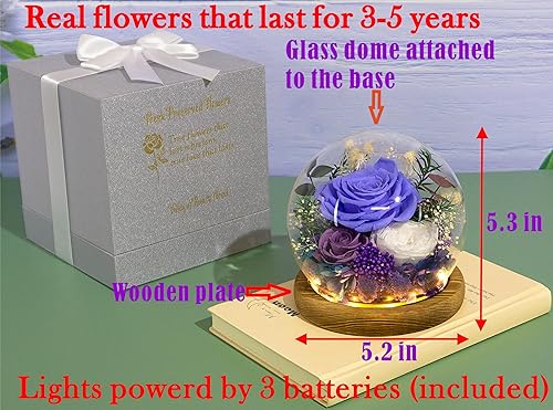 Miniatura 2 de Valley of Rain & Forest Flores reales de larga duración, regalo floral único para que envíes amor para todas las ocasiones, para decoración de