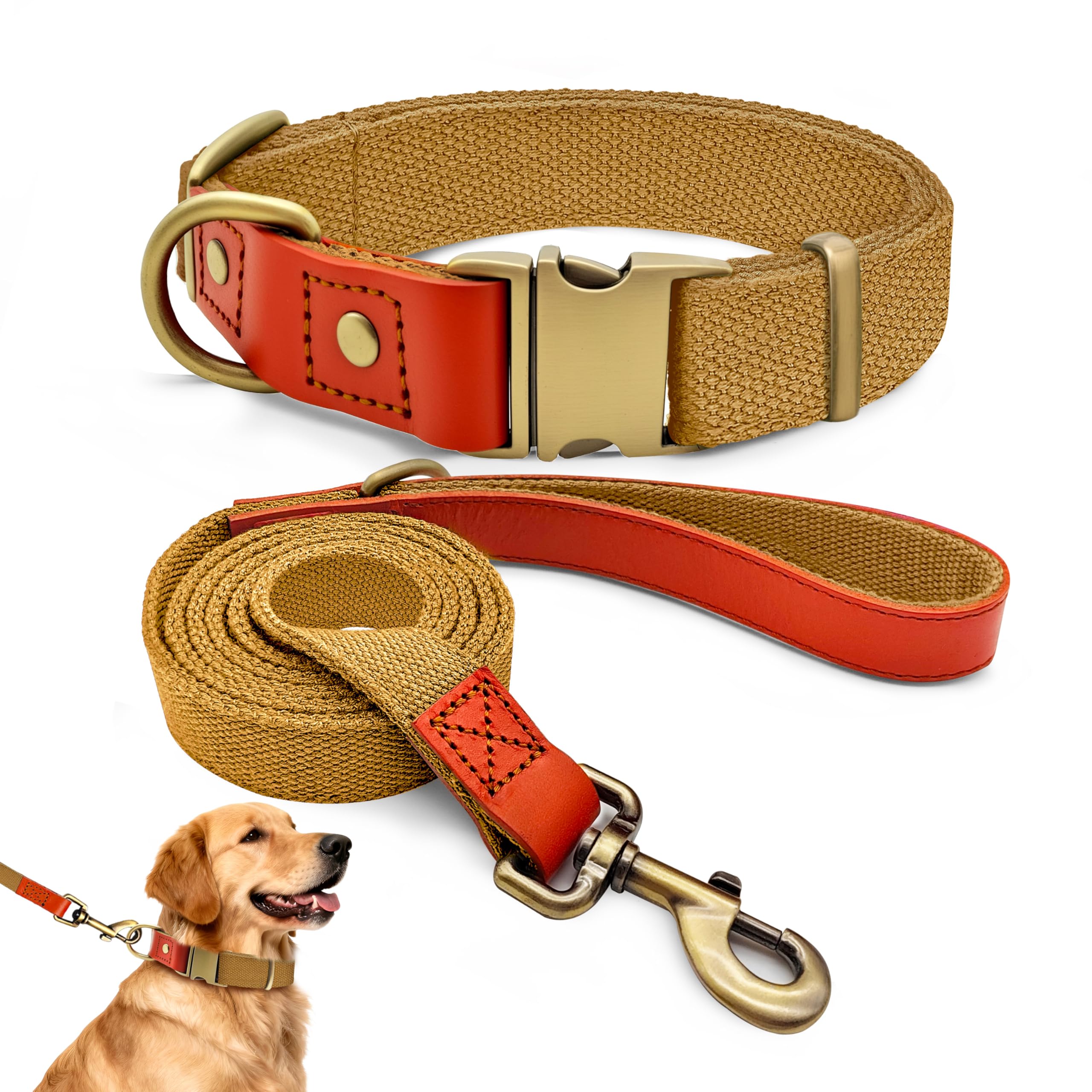 Collar y Correa Perro Grande - con Hebilla y Anillo en D de Metal - Nailon con Asa Acolchada - Ajustable, Duradero y Cómodo - para Adiestramiento, Correr y Senderismo, Caqui, XL (43-66 cm)