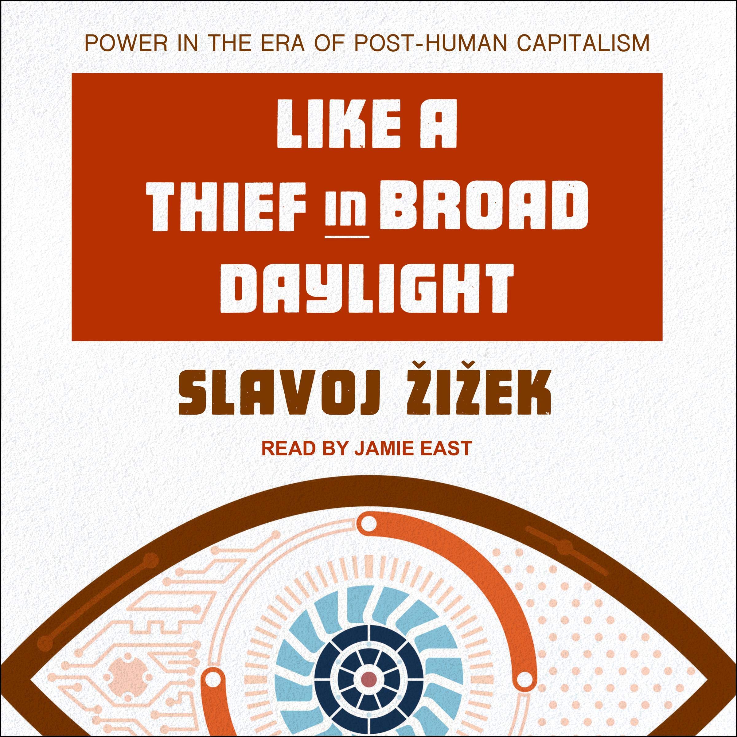 Cover art for Like a Thief in Broad Daylight
