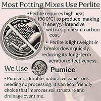 Vista 8 de Craft - Mezcla orgánica para macetas para plantas de interior, tierra para plantas de casa Elite, tierra gruesa y bien drenante para todas