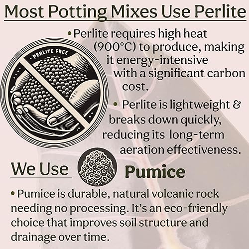Miniatura 8 de Craft - Mezcla orgánica para macetas para plantas de interior, tierra para plantas de casa Elite, tierra gruesa y bien drenante para todas