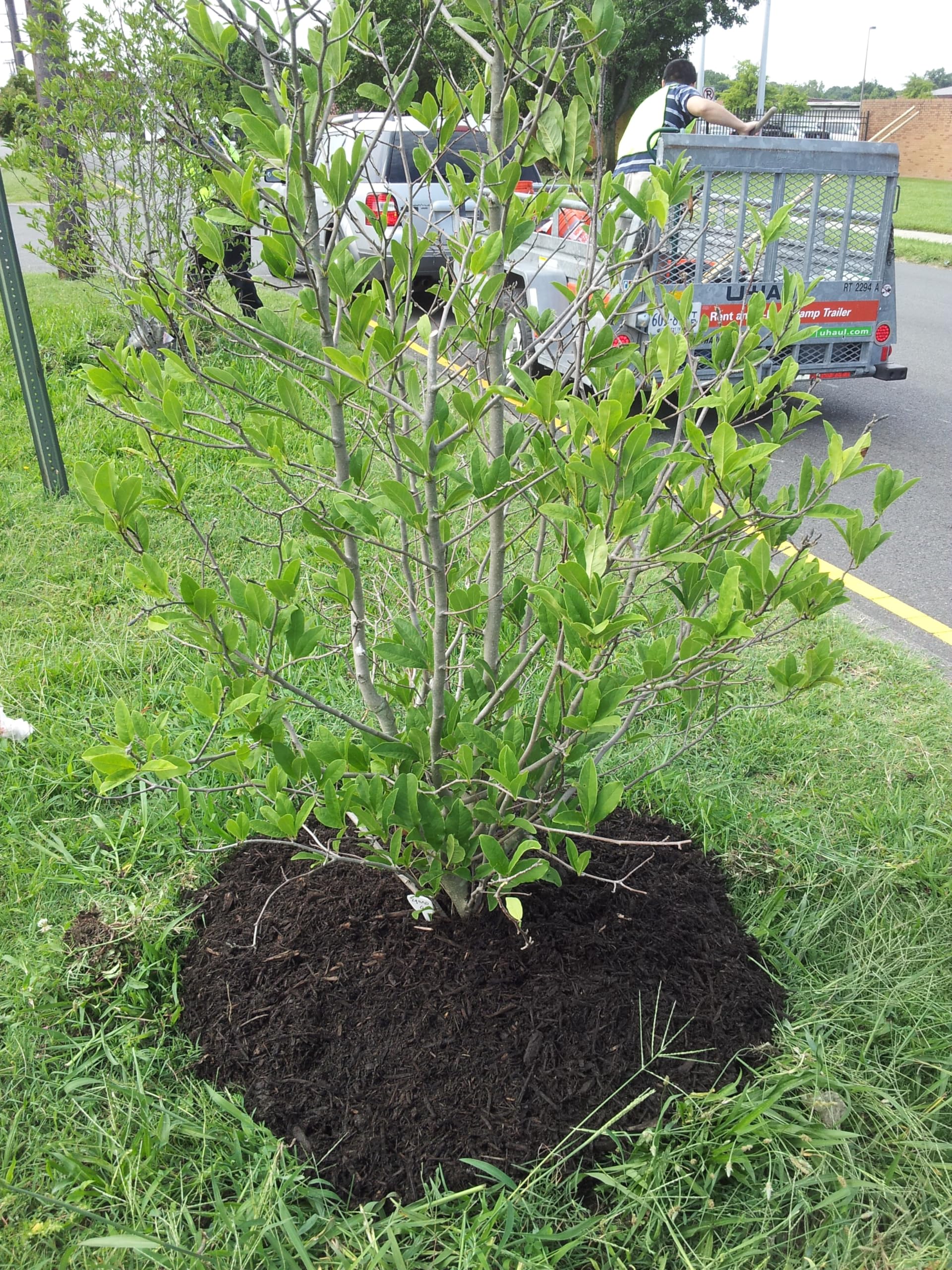 USA SEALING ZUSA-PF-1397 304 Stainless Steel Schedule 40 Pipe Nipple Threaded on Both Ends, 3/8