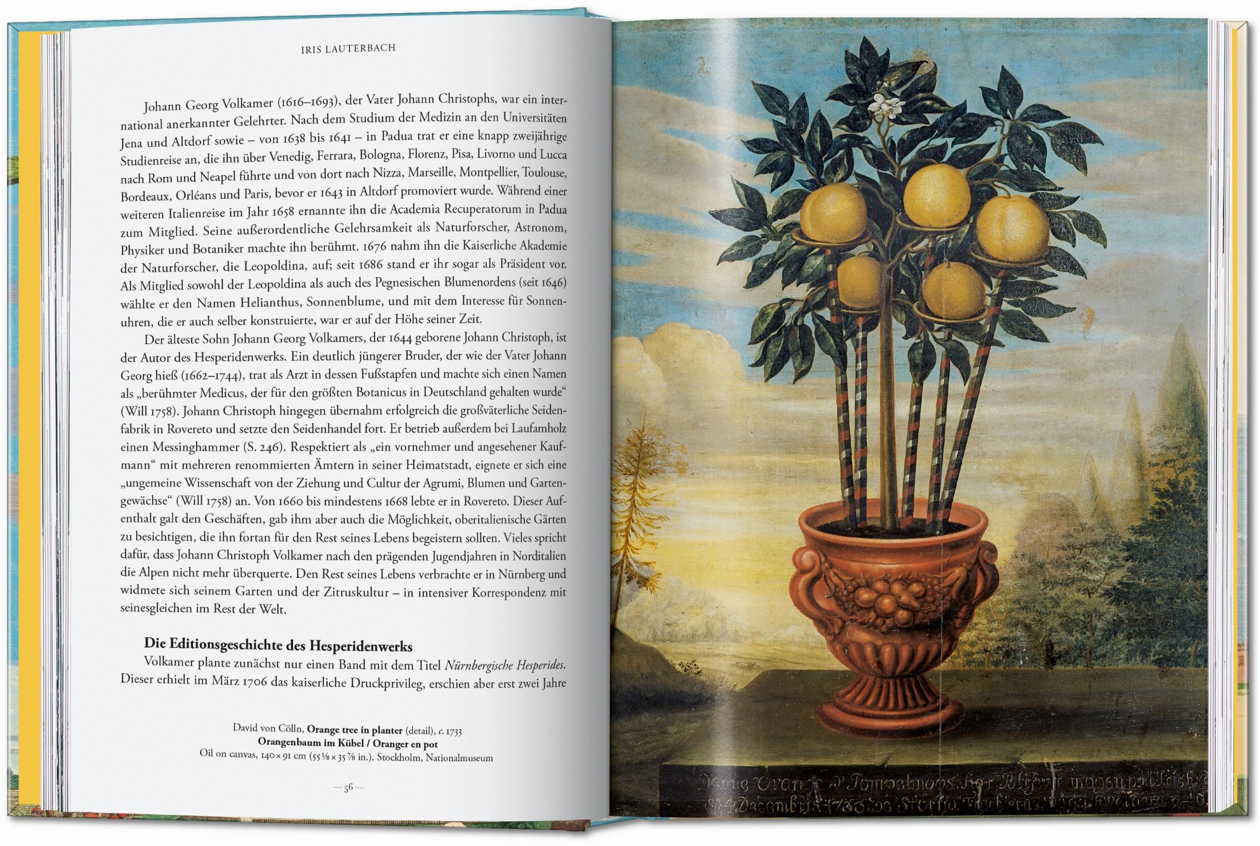 J.C. Volkamer: The Book of Citrus Fruits. 45th Ed.