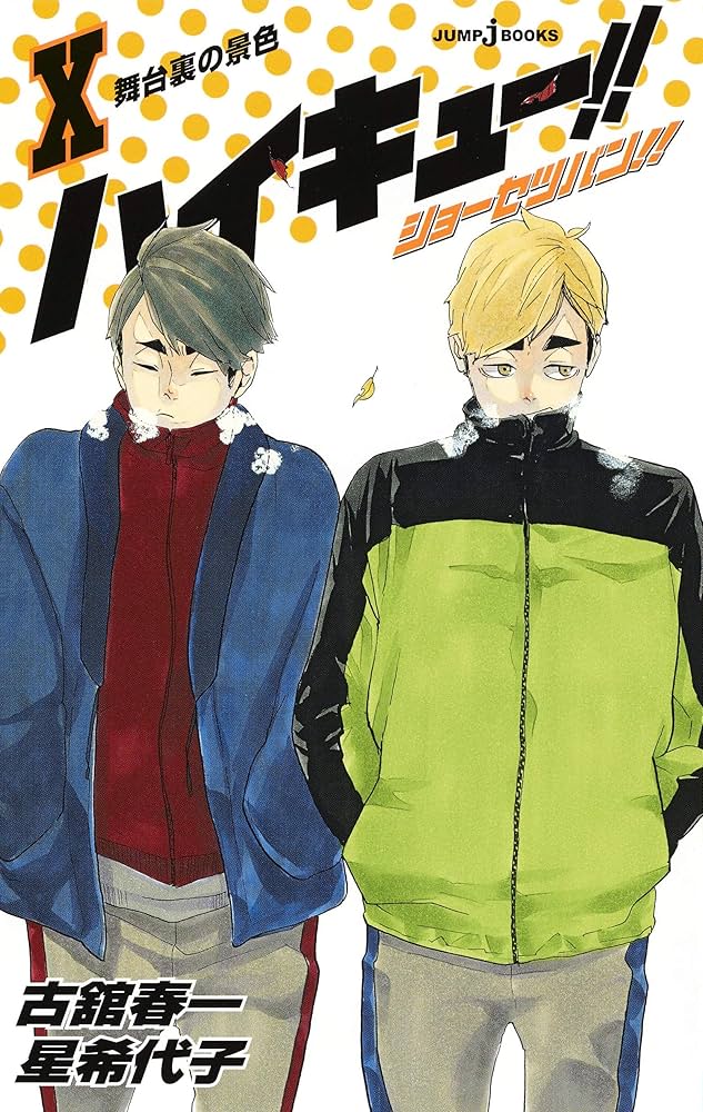 ハイキュー アニメの続きセット+ハイキューショーセツバン10巻セット ハイキュー キャラクター ハイキュー アニメの続きセット+ハイ
