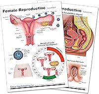Vista 1 de Salud de la mujer (tabla reproductiva)