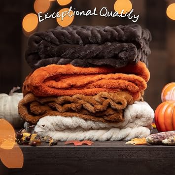 Chanasya Premium Ruched Faux Fur Throw Blanket - Luxurious, Soft Reversible Mink Blanket - 50 x 65 - Cloud