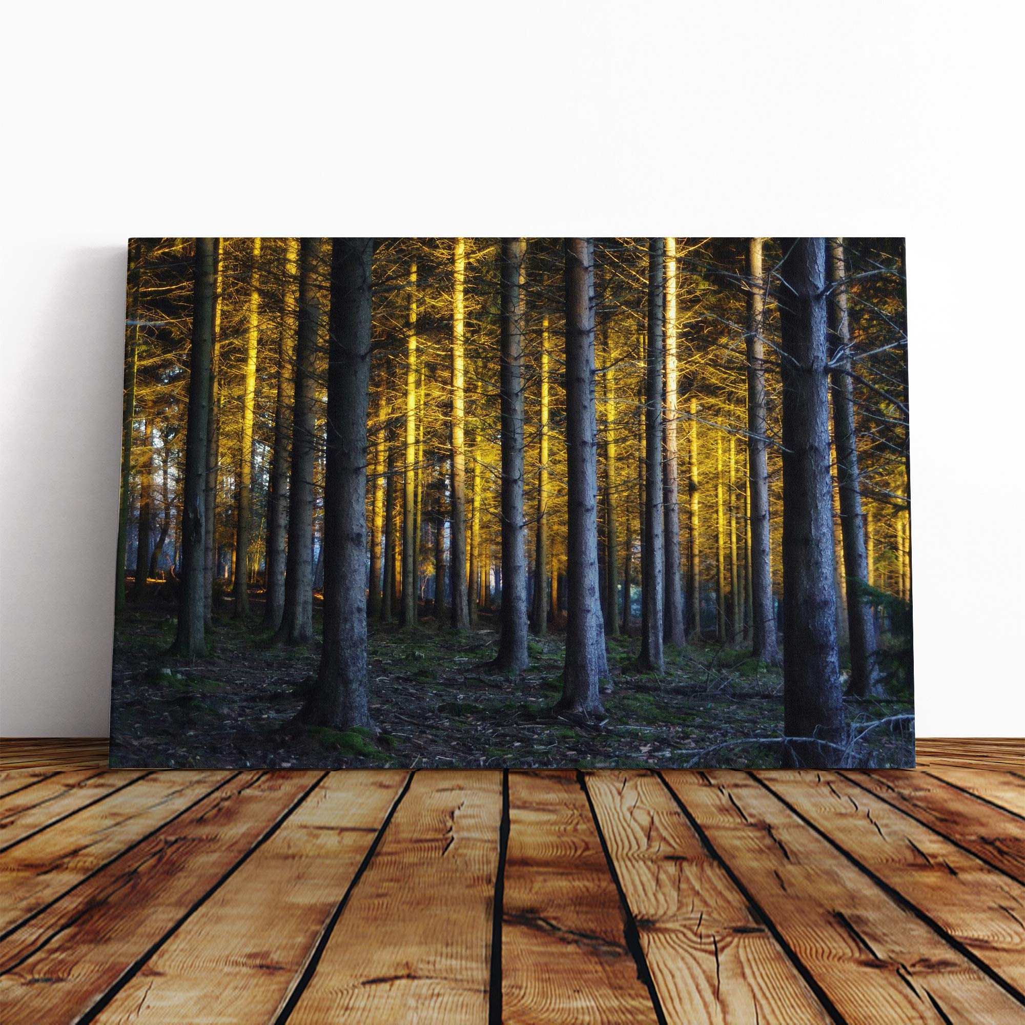 Landscape Sunlight Through Forest Woodland (5) Canvas Print | Gallery Wrapped 30mm Frame Wall Art | 30x20 inches | Ready to Hang | Modern Landscape Picture | Living Room Bedroom Lounge Office