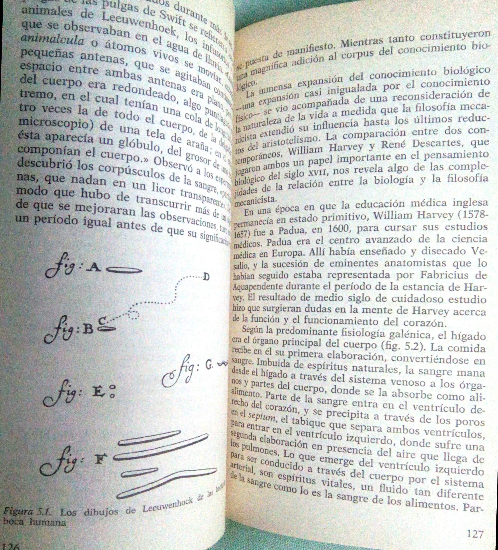 La construcción de la ciencia moderna: mecanismos y mecánica
