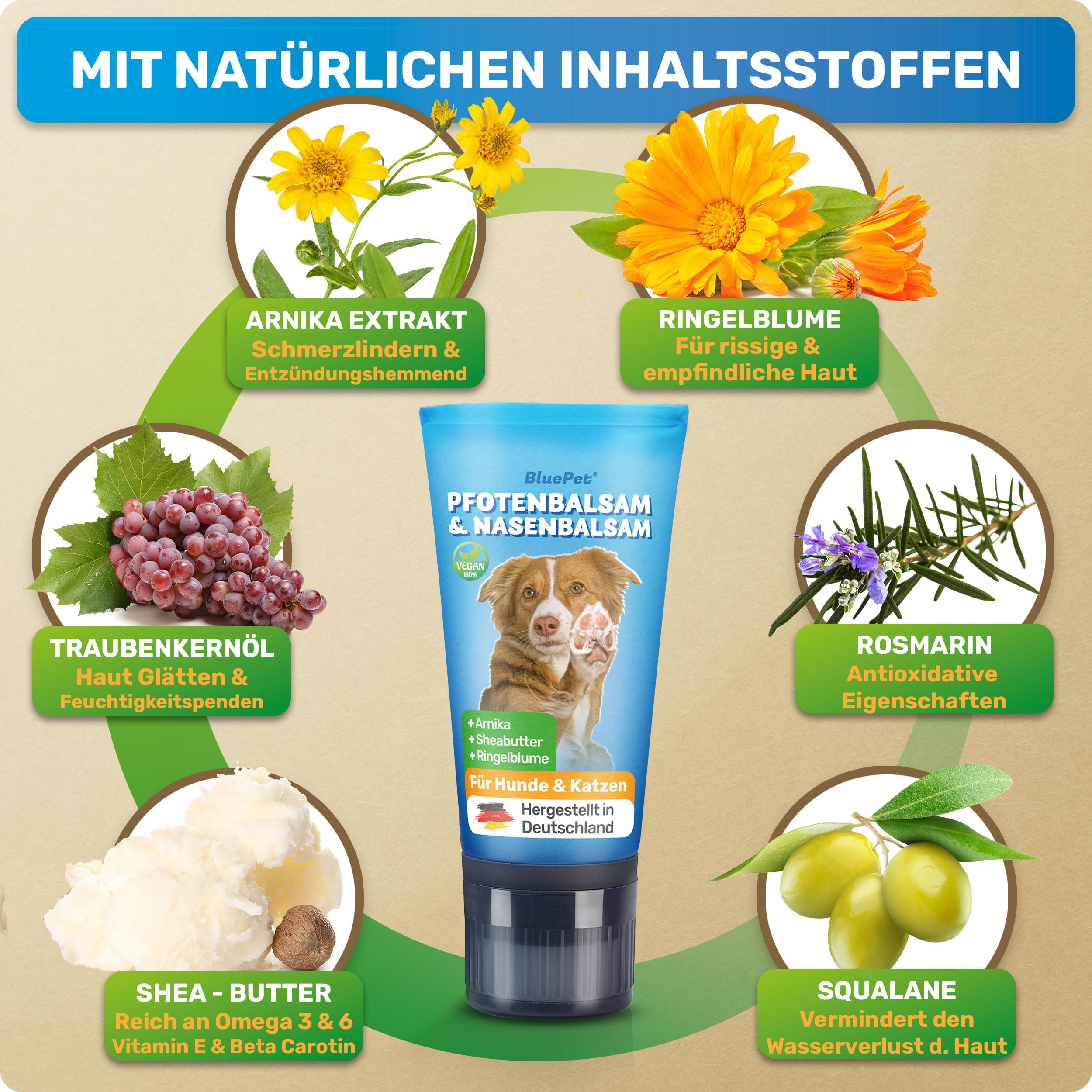 BluePet Baume Coussinet Chien, Creme Coussinet pour Pattes de Chien & Chat, Baume Pattes & Truffes Chiens, Protection Neige & Chaleur, Cicatrisante & Antiseptique, pour Pattes & Truffe sèche, gercée
