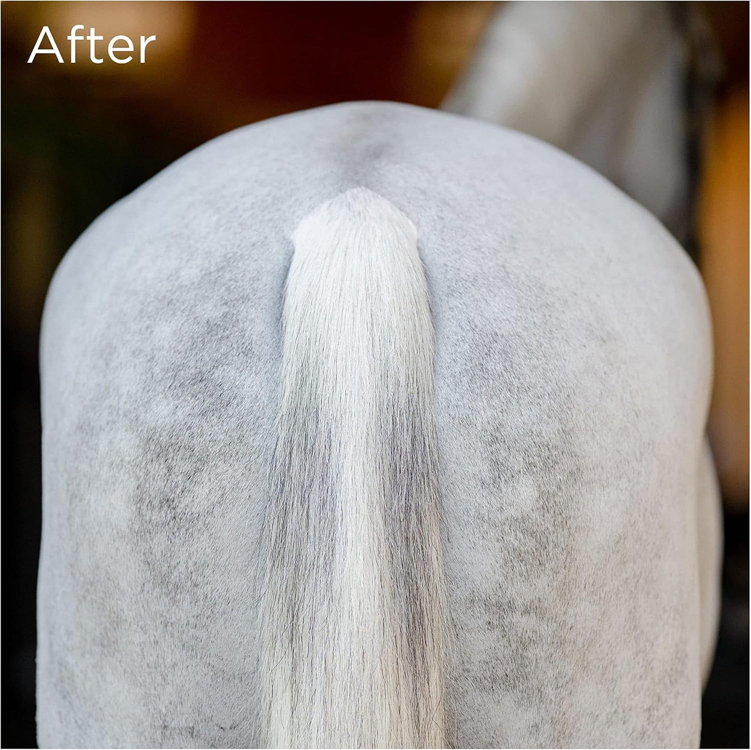 EquiFit TailWrap - Black