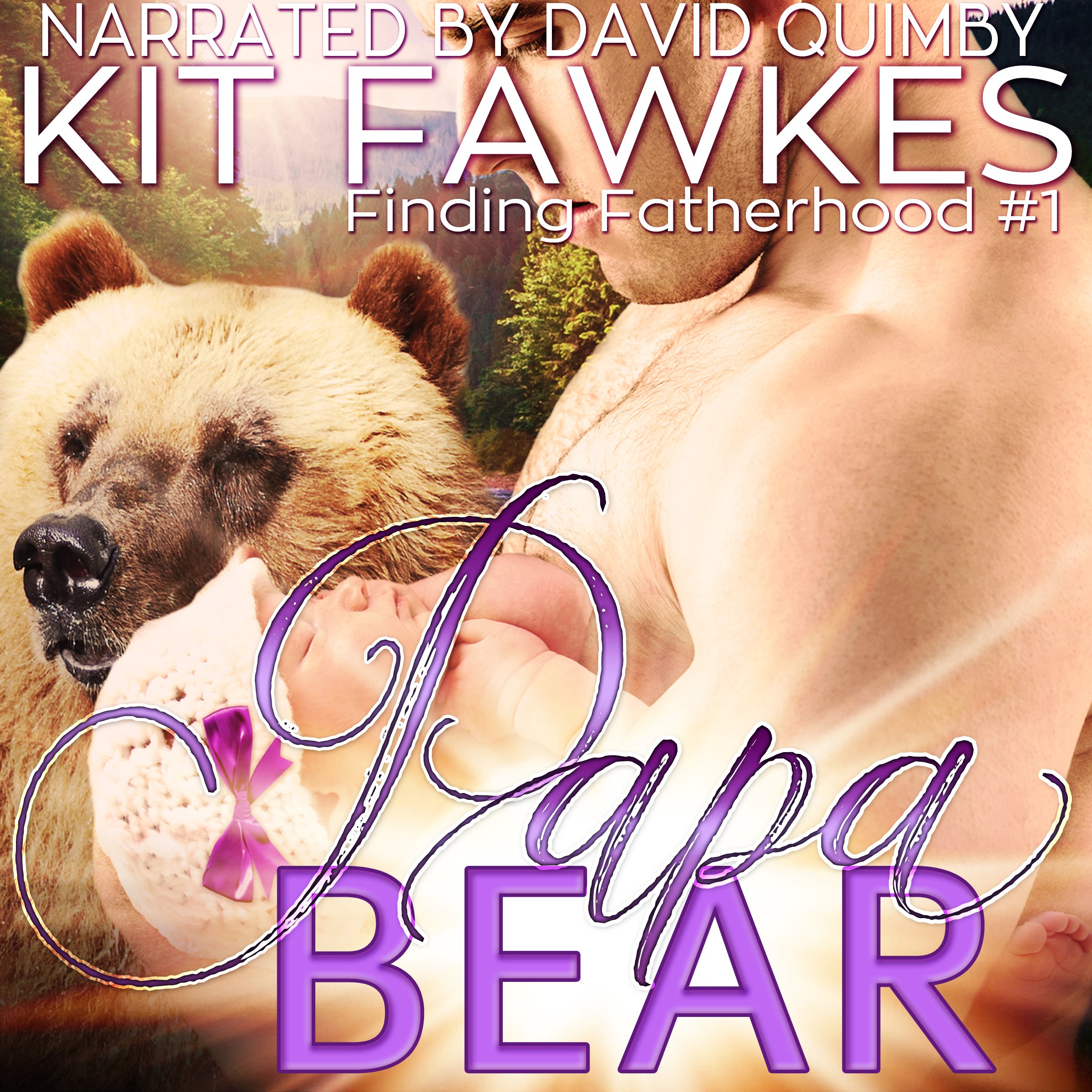 Cover art for Papa Bear
