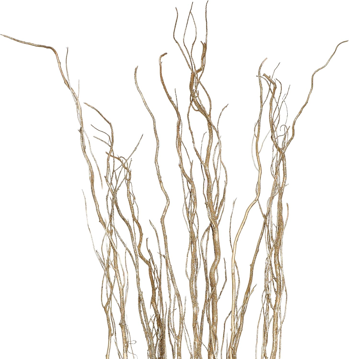 Green Floral Craft | 12 Stem Dried Curly Willow Branches 4-5 Feet Tall - Perfect Home Decoration and Floor Vase Filler (Gold Glitter)