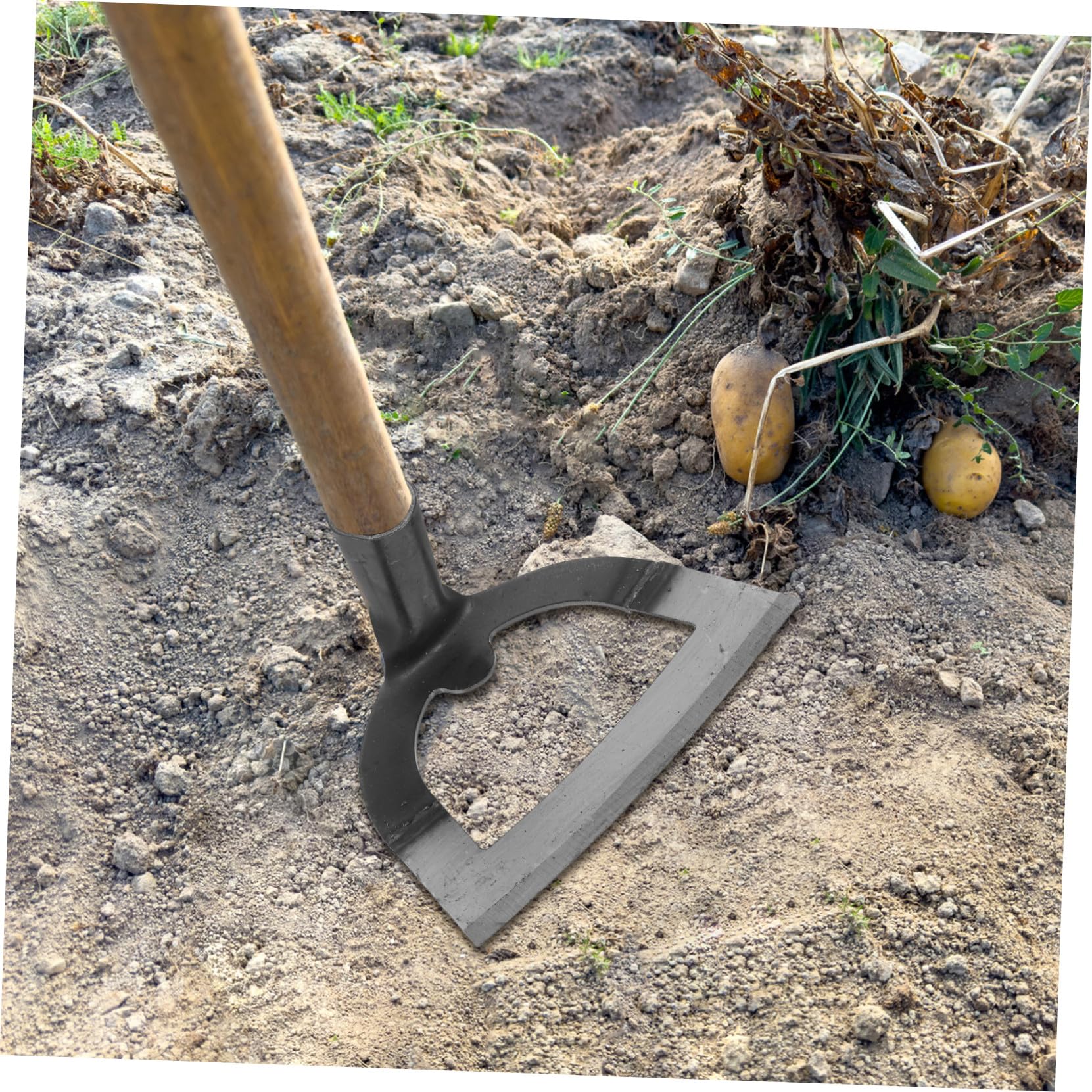 Azada de Trabajo Pesado de Acero Inoxidable para Deshierbe | Herramienta de Jardinería, Diseño Resistente Deformación, Uso Agrícola para Quitar Hierbas