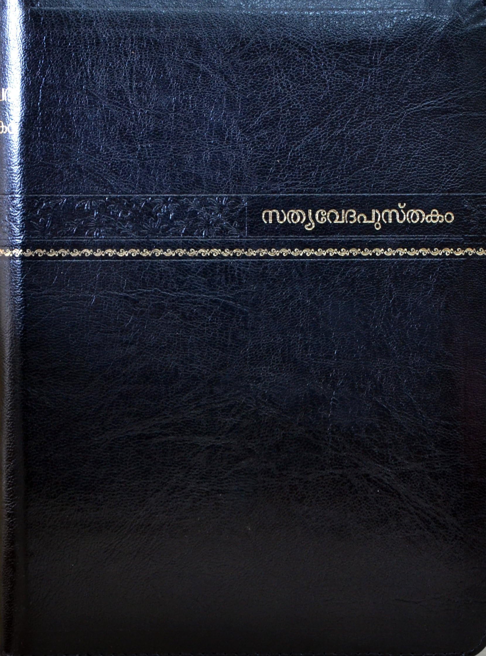 Malayalam Bible Black Leather Bound Golden Edges Thumb Index Zipper 57ZTI Malayalam language India Leather Bound – 1 January 2011