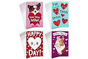Hallmark Valentines Day Cards for Kids Classroom Exchange (24 Count)