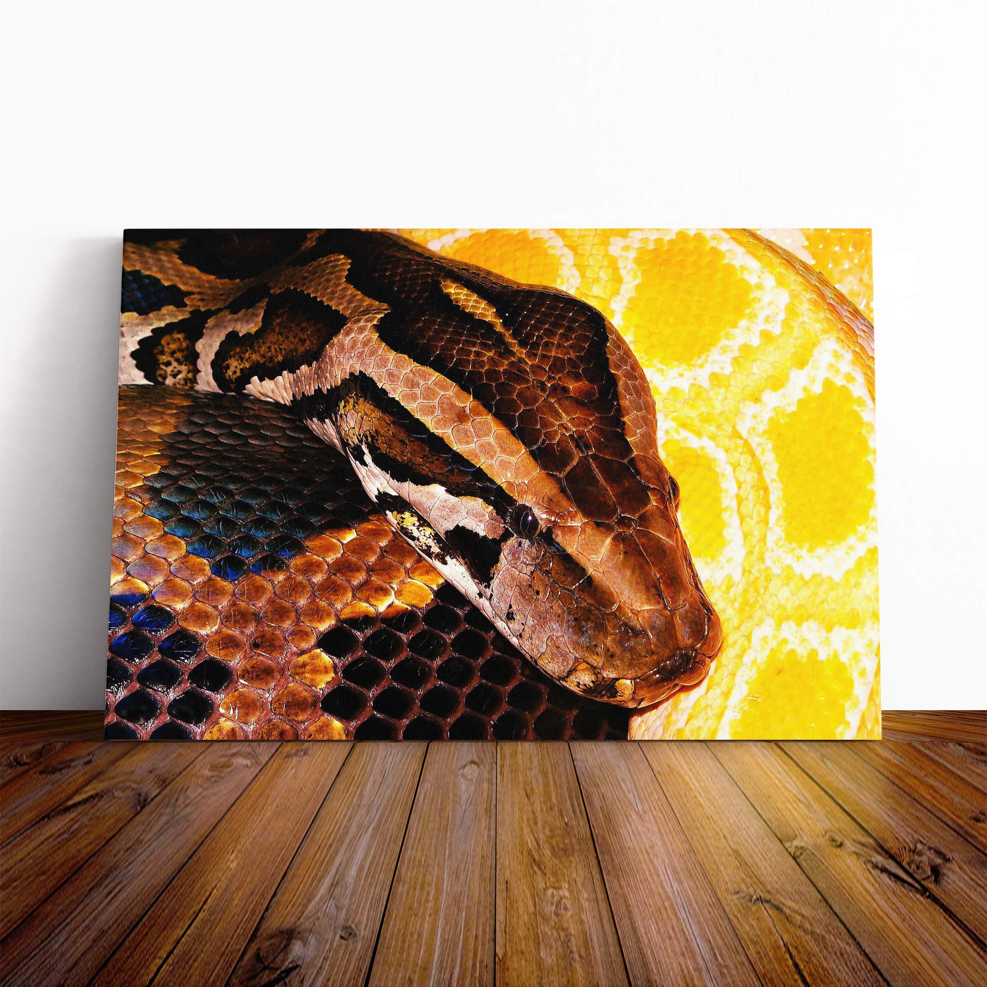 Python Snake Vol.3 Canvas Print | Gallery Wrapped 30mm Frame Wall Art | 24x16 inches | Ready to Hang | Modern Animals Picture | Living Room Bedroom Lounge Office