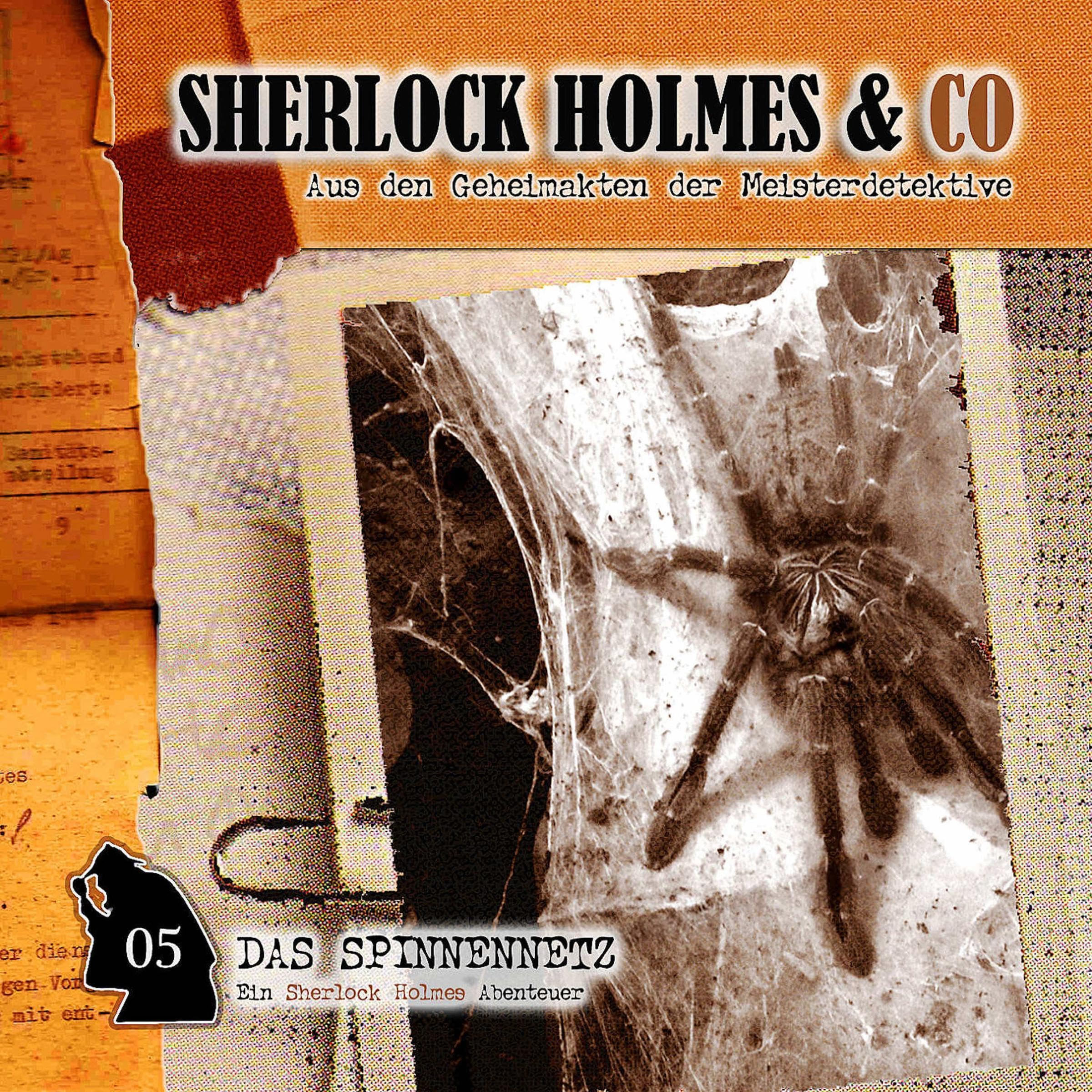 Cover art for Das Spinnennetz