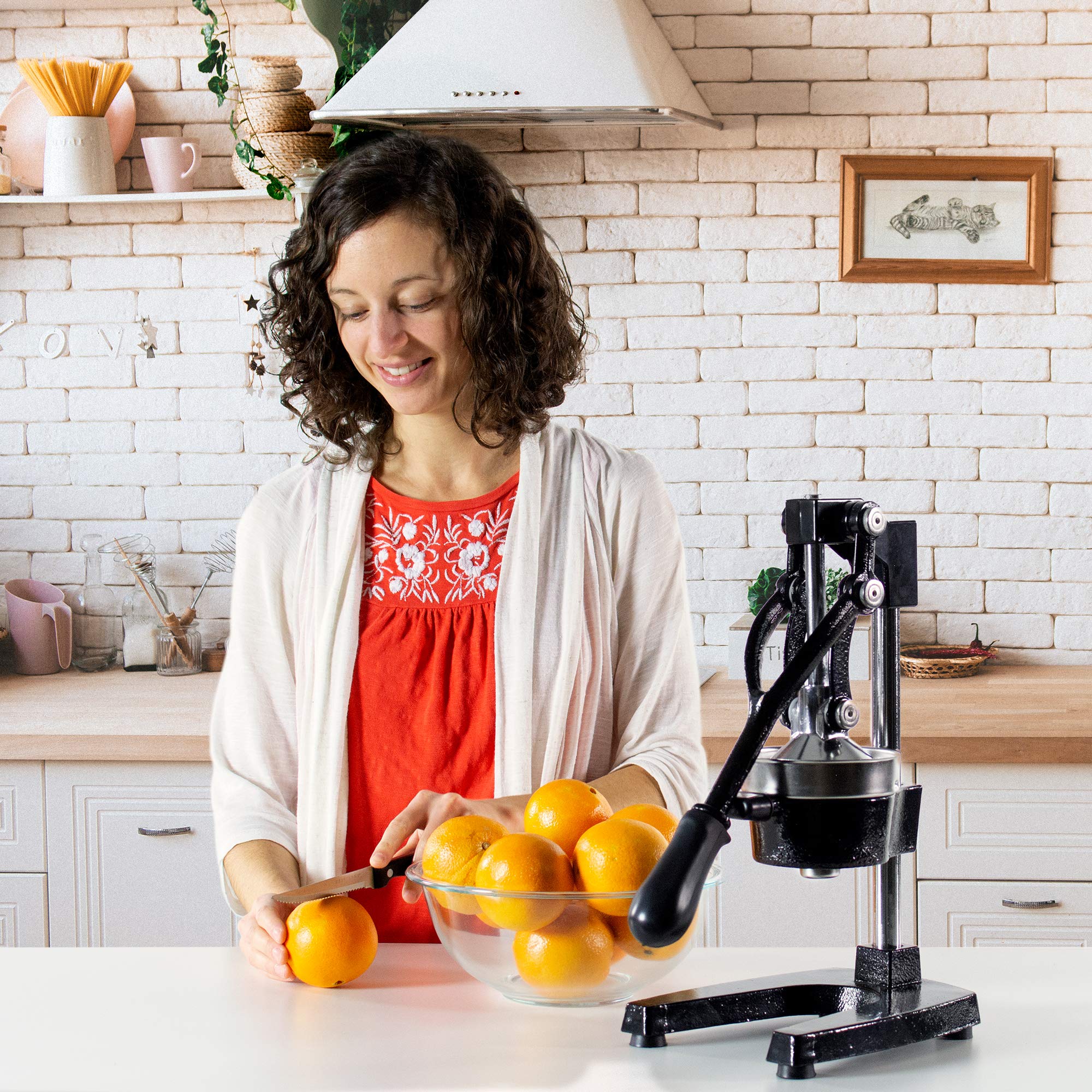 VIVO Exprimidor manual de cítricos resistente, exprimidor profesional de frutas, exprimidor de naranja y limón (STUFR-JCR1)