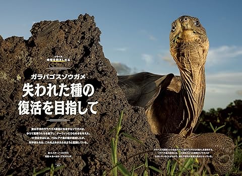 Amazon.co.jp: ナショナル ジオグラフィック日本版（National