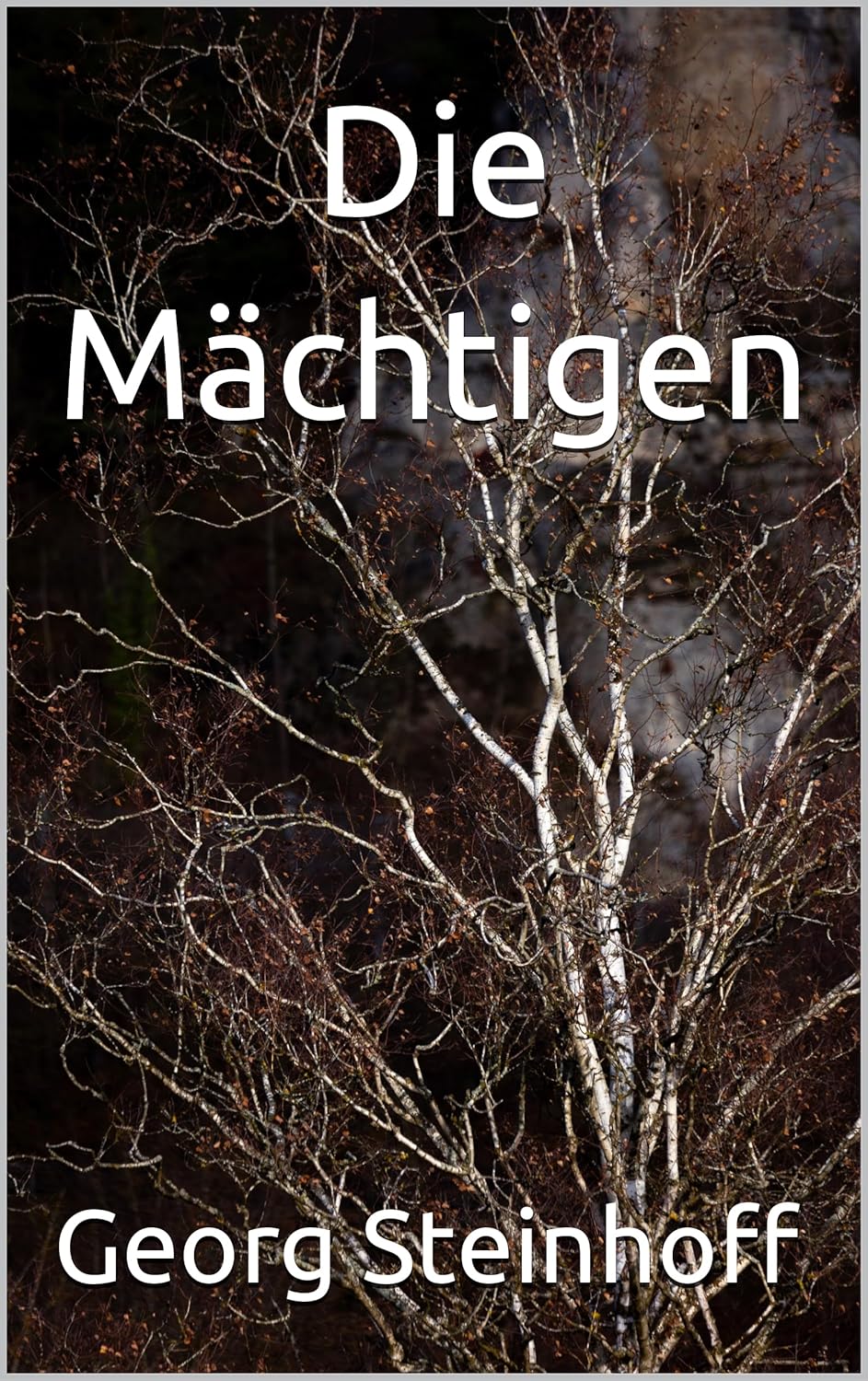 Die Mächtigen eBook Steinhoff, Amazon.de