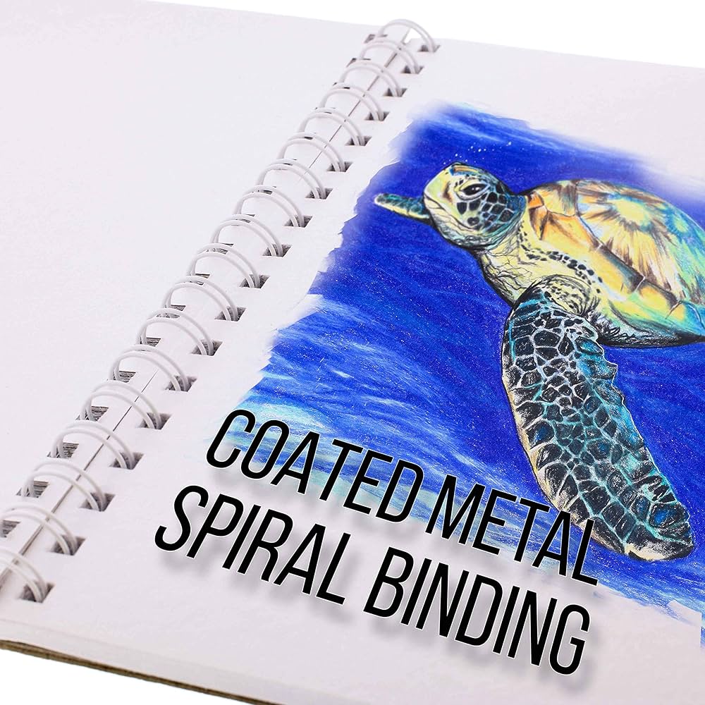 Amazon.com: U.S. Art Supply 5.5”x8.5 Premium Heavy-Weight