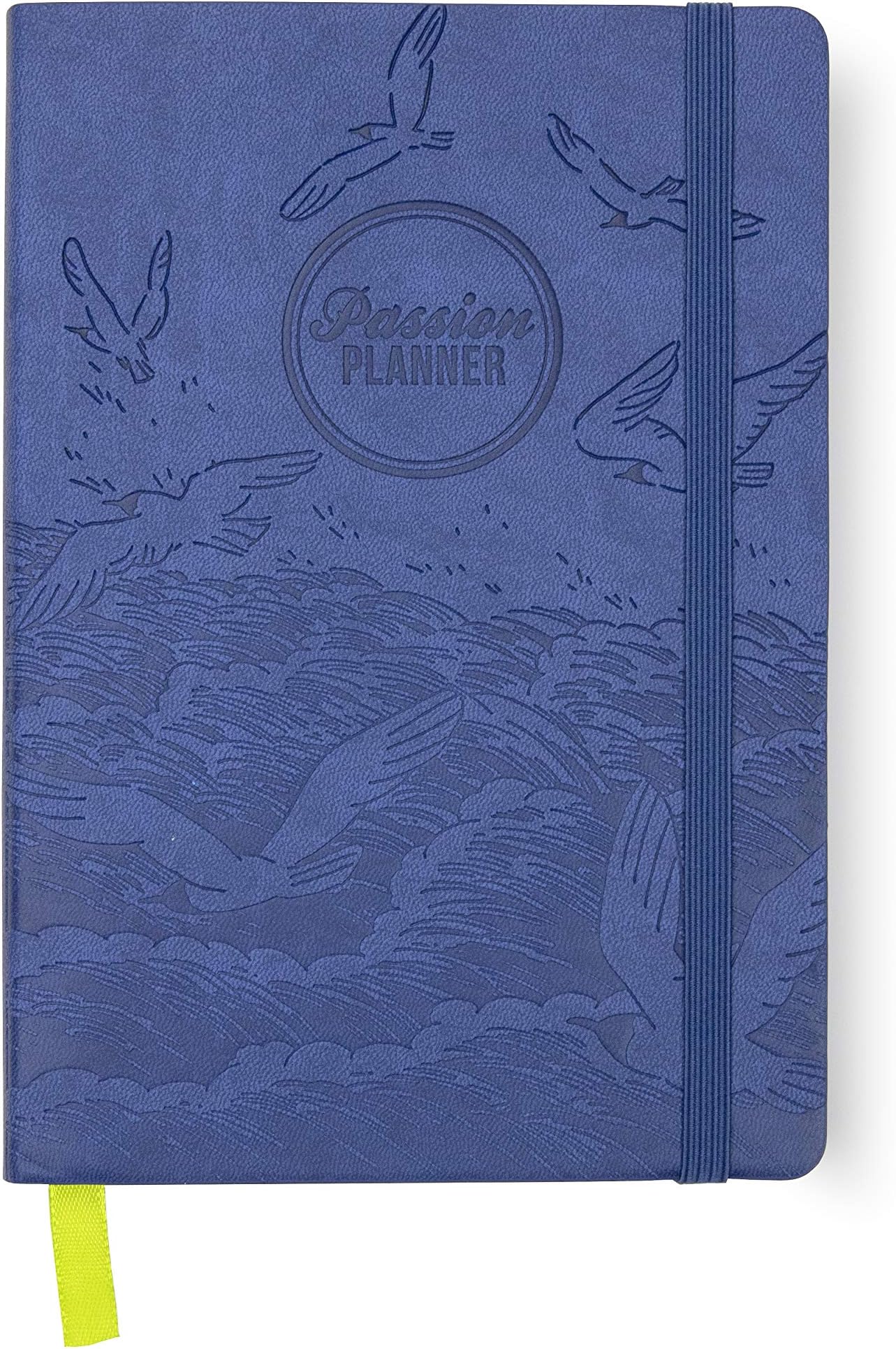 Annual Passion Planner Medium Jan-Dec 2021 (B5-6.9 x 9.8 in) Monday Start Pacific Blue