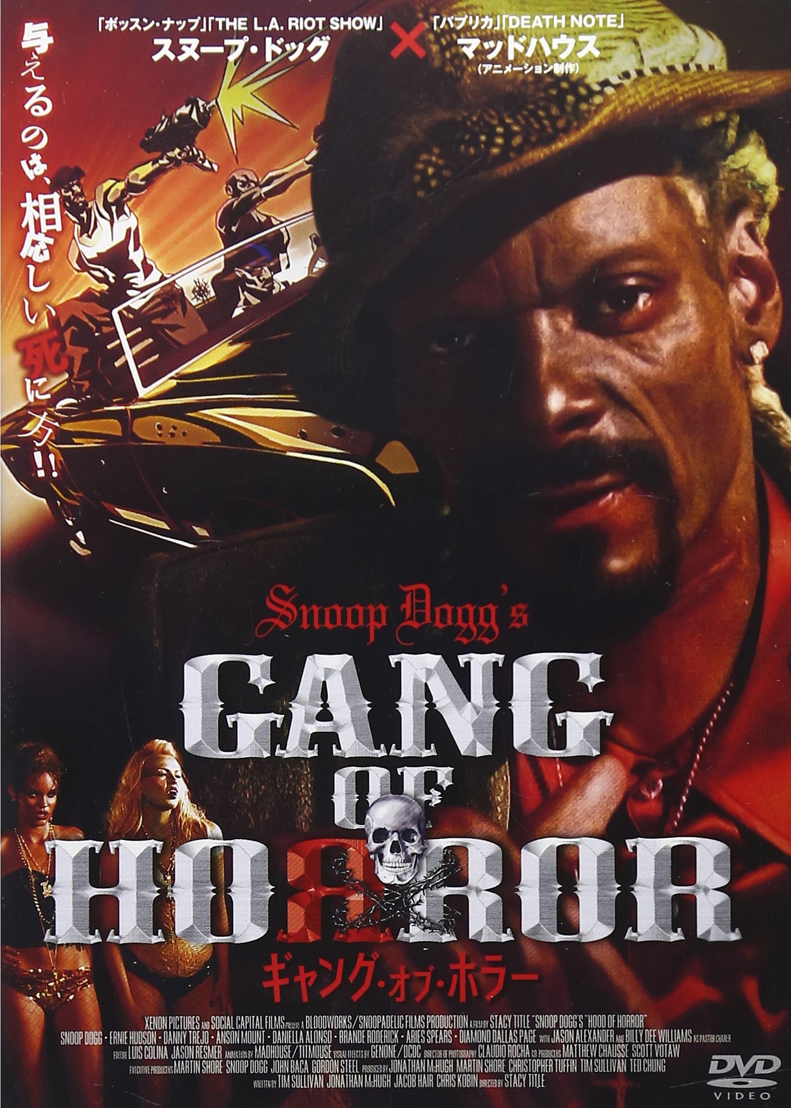 ぬーキャンプ DVD vol1〜3 ぬーキャンプ DVD vol1〜3 Amazon.co