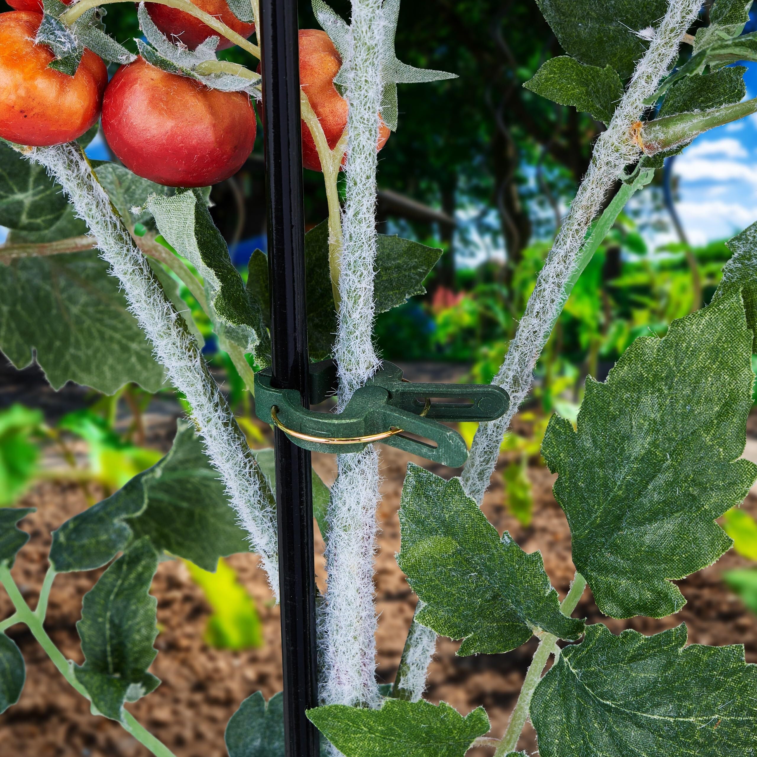 Attaches pour Plantes - Lot de 120 Pièces, Petites Pince à Ressort pour Support de Tomates et Fleurs