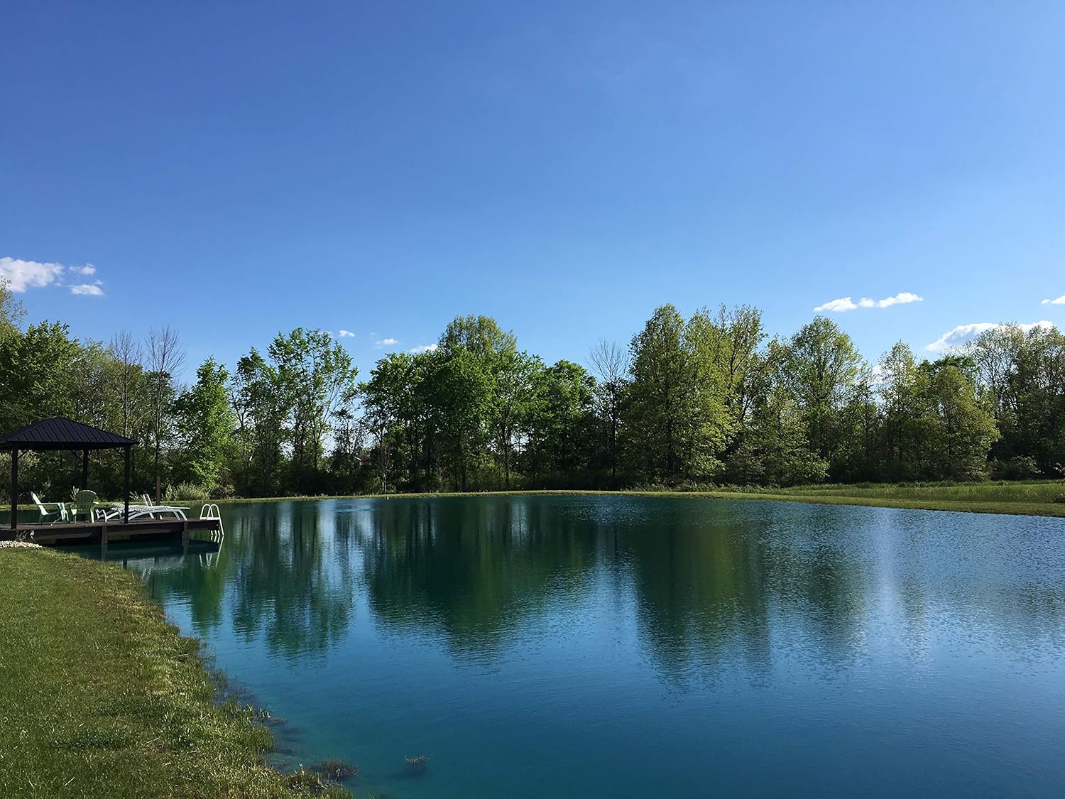 PondWorx Lake and Pond Dye - Blue Ultra Concentrated - 1 Quart : Patio, Lawn & Garden