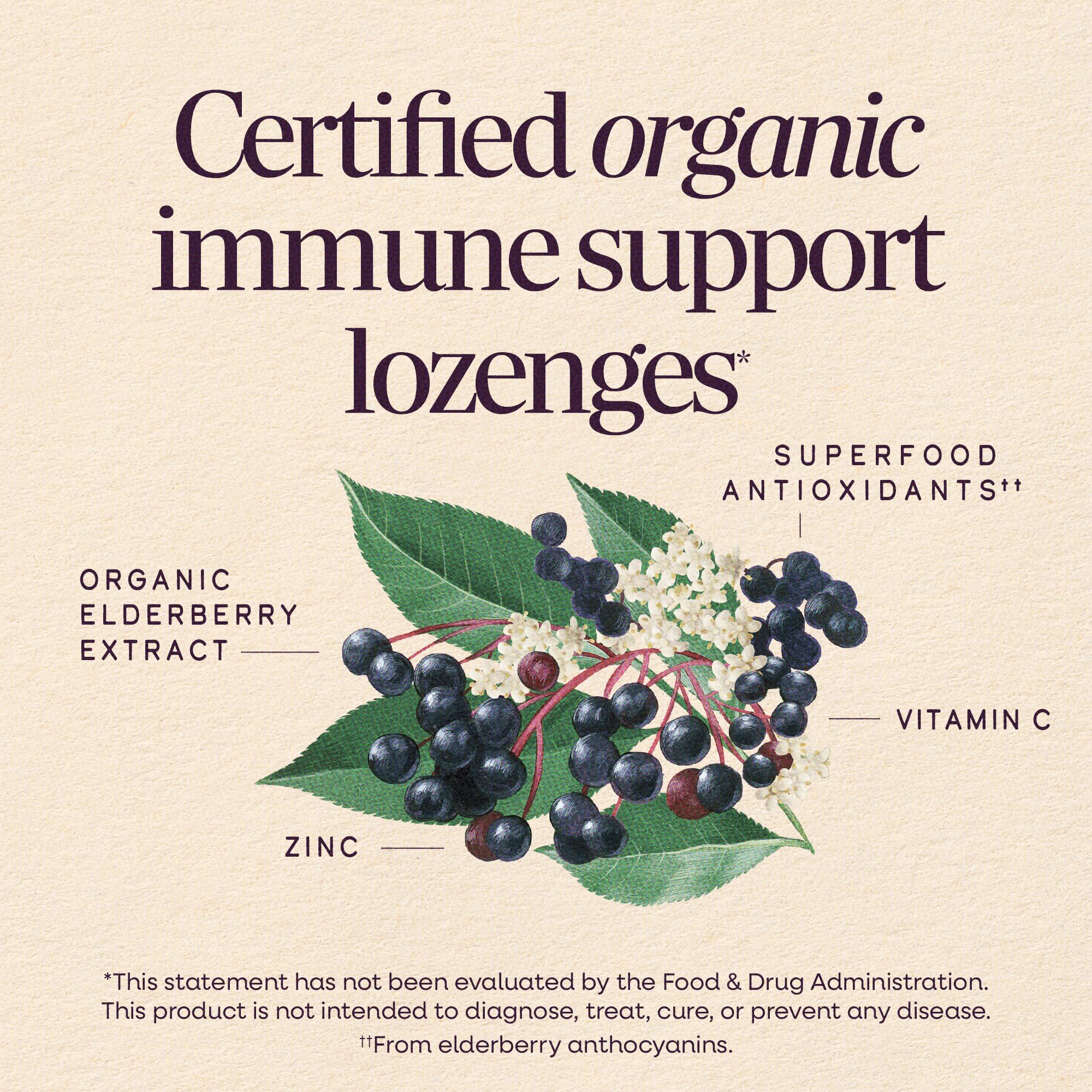 Nature's Way Sambucus Immune Lozenges, Honey Lemon Flavor, 24 ct — Amazon image 3