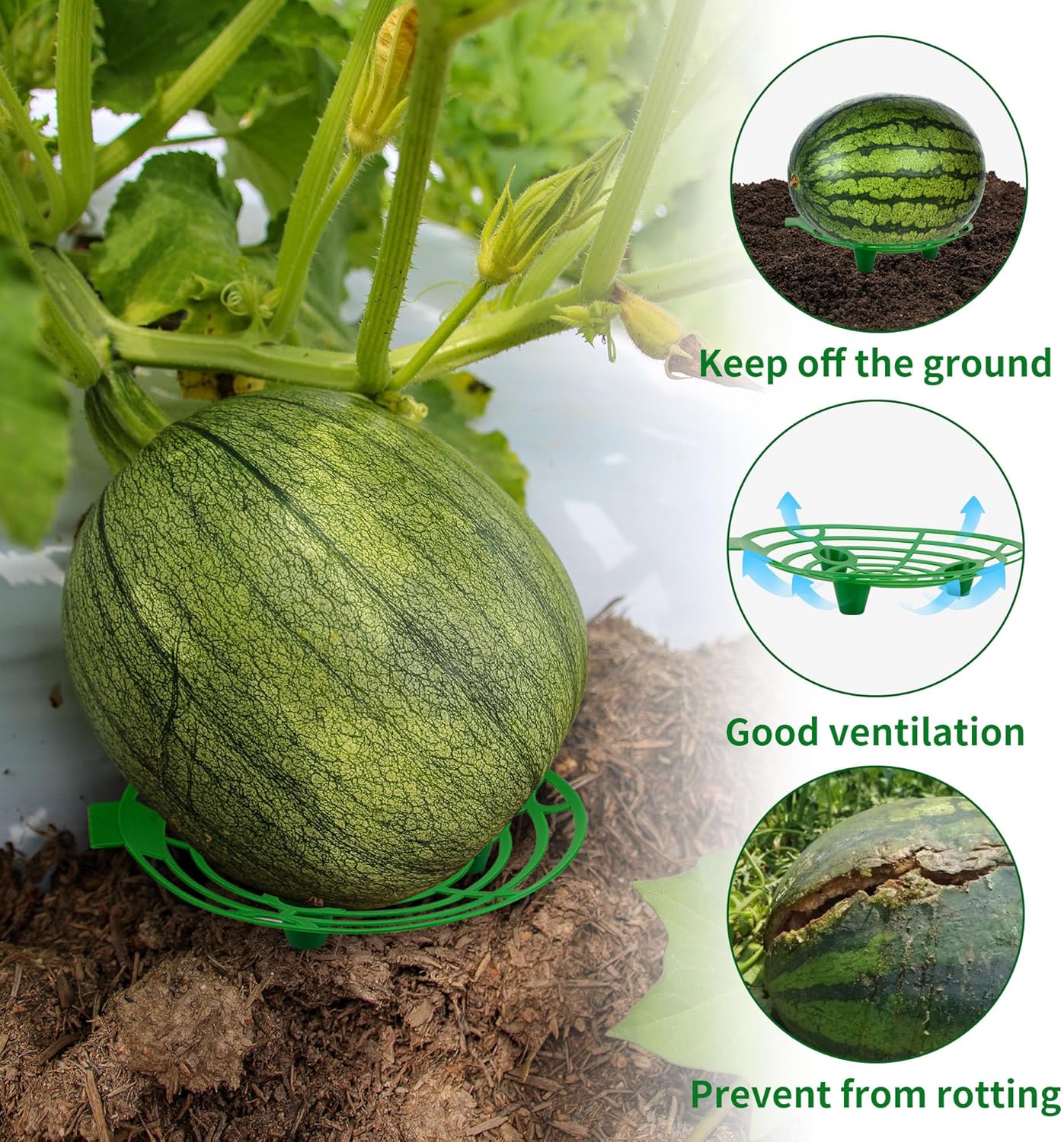 15 Pack Melon Cradle for Garden Pumpkin Support Stand Trellis,Avoid Ground Rot,Plastic Plant & Garden Support for Pumpkin Watermelons Squash Strawberries(Green)