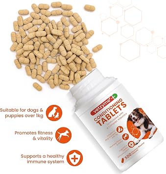 Vetzyme Conditioning Tablets, 500 Tablets