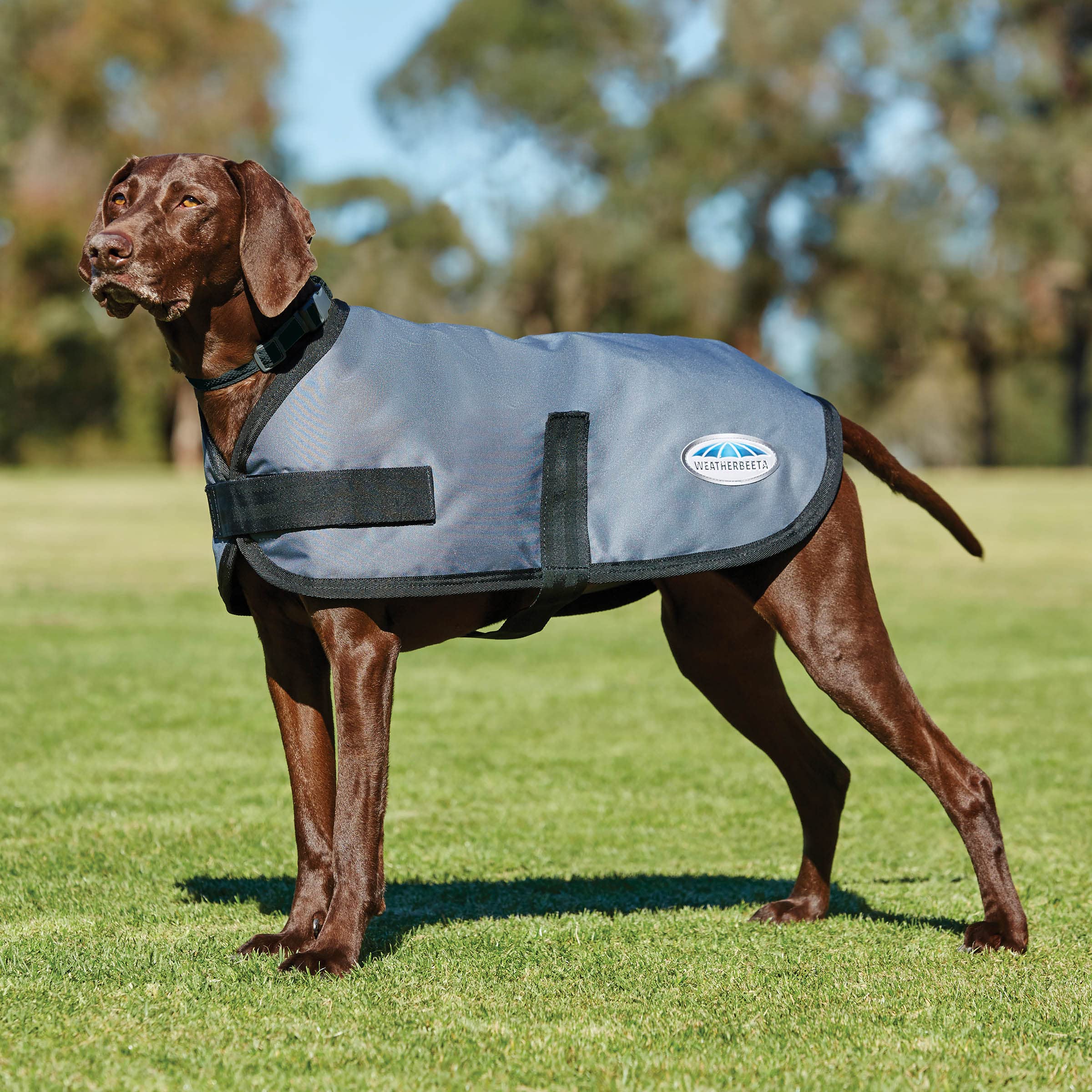 WeatherBeeta ComFiTec Classic Dog Coat, Dark Grey, 50cm - Image 2