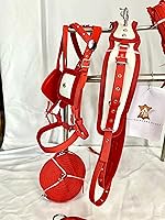 Vista 4 de Arnés de conducción de caballo de nailon tachuelas cromadas talladas en silla de montar y brida completo mazorca pony shetland mini