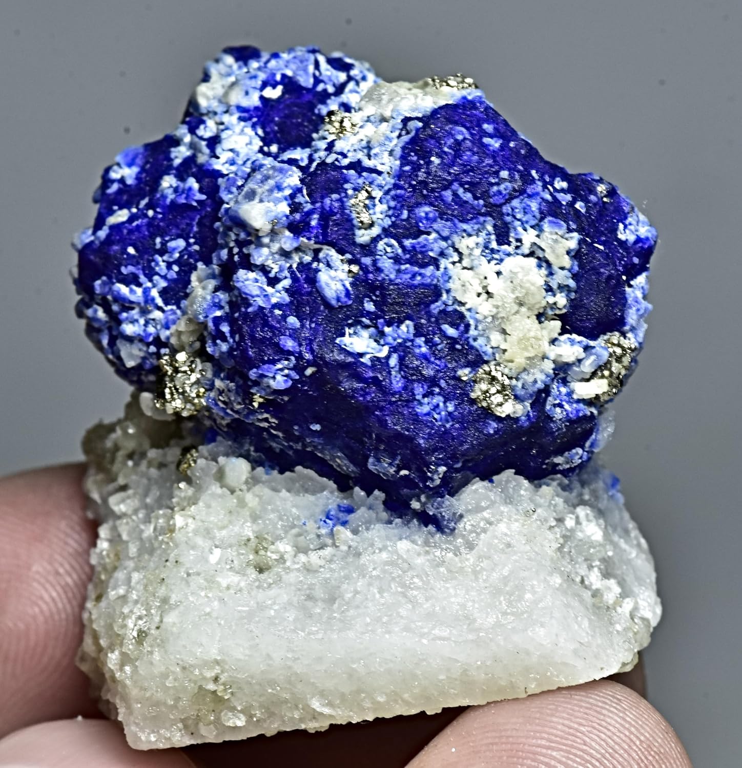 Awesome Blue Color Lazurite Crystal Specimen Combined with Forsterite & Pyrite