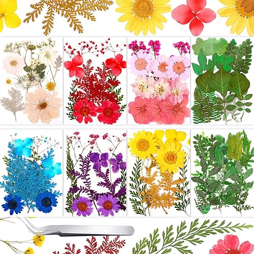 Nuanchu 109 piezas de flores secas prensadas para resina, flores prensadas reales, variedad mixta de flora seca con pinzas para manualidades,