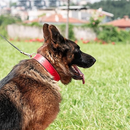 Miniatura 4 de Filbert Collar de cuero plano para perro con hebilla para perros grandes, medianos y perros pequeños, collar de cuero genuino para perros, collar de