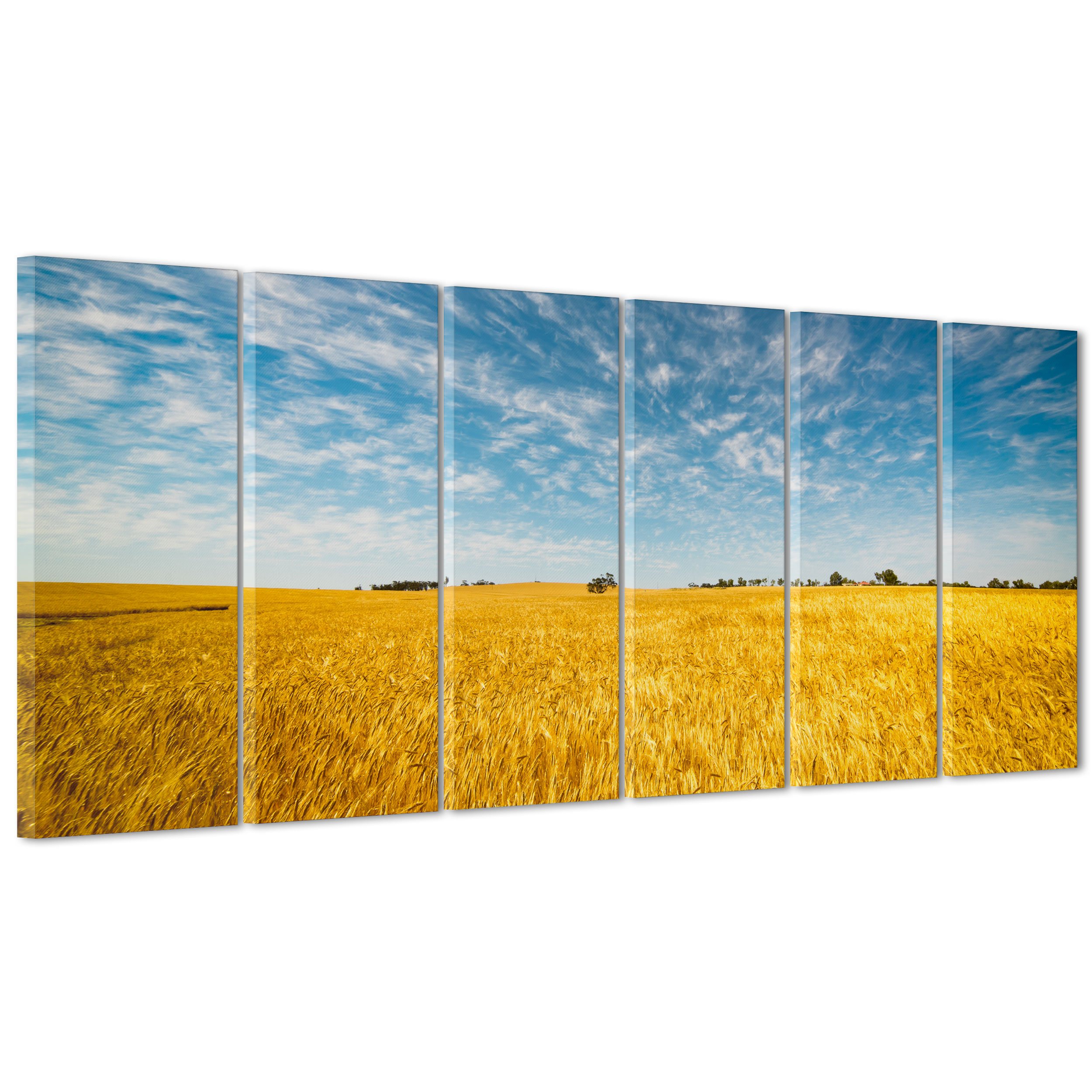 Cuadro sobre lienzo Canvas – ConKrea – Listo para colgar – Campo De Trigo – Granja