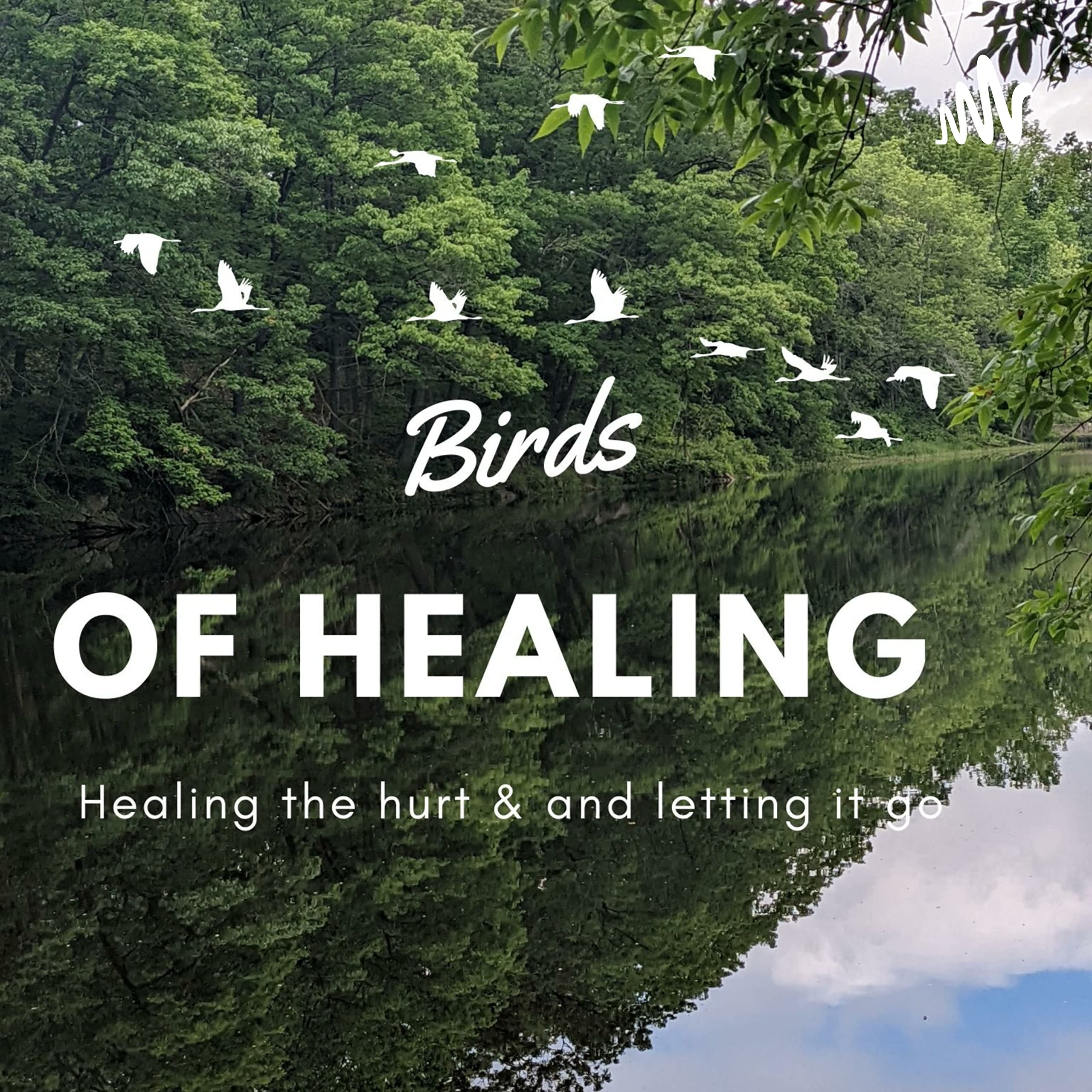 Birds of Healing Podcast