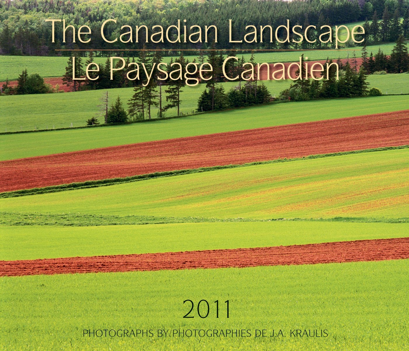 Canadian Landscape 2011 Calendar