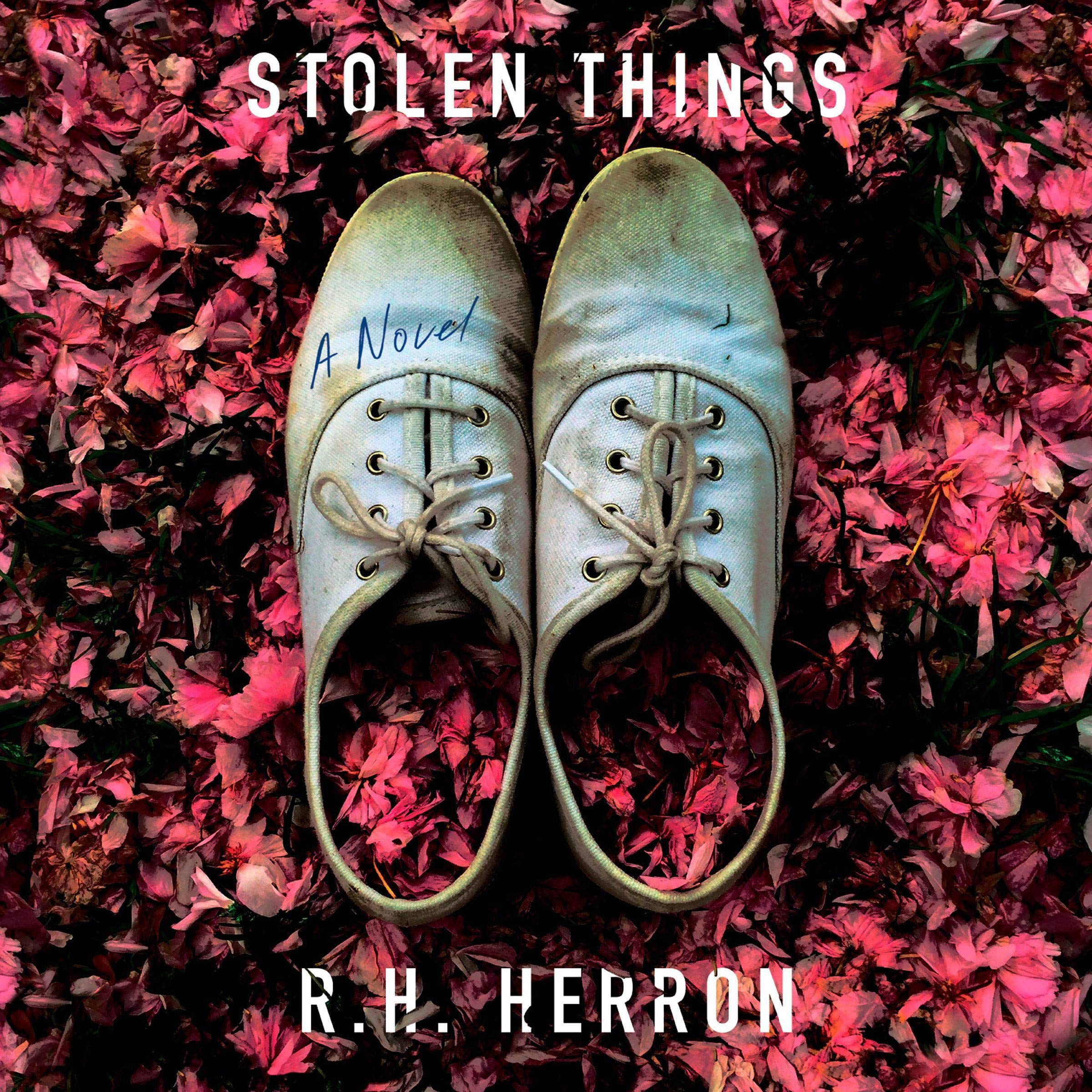 Cover art for Stolen Things