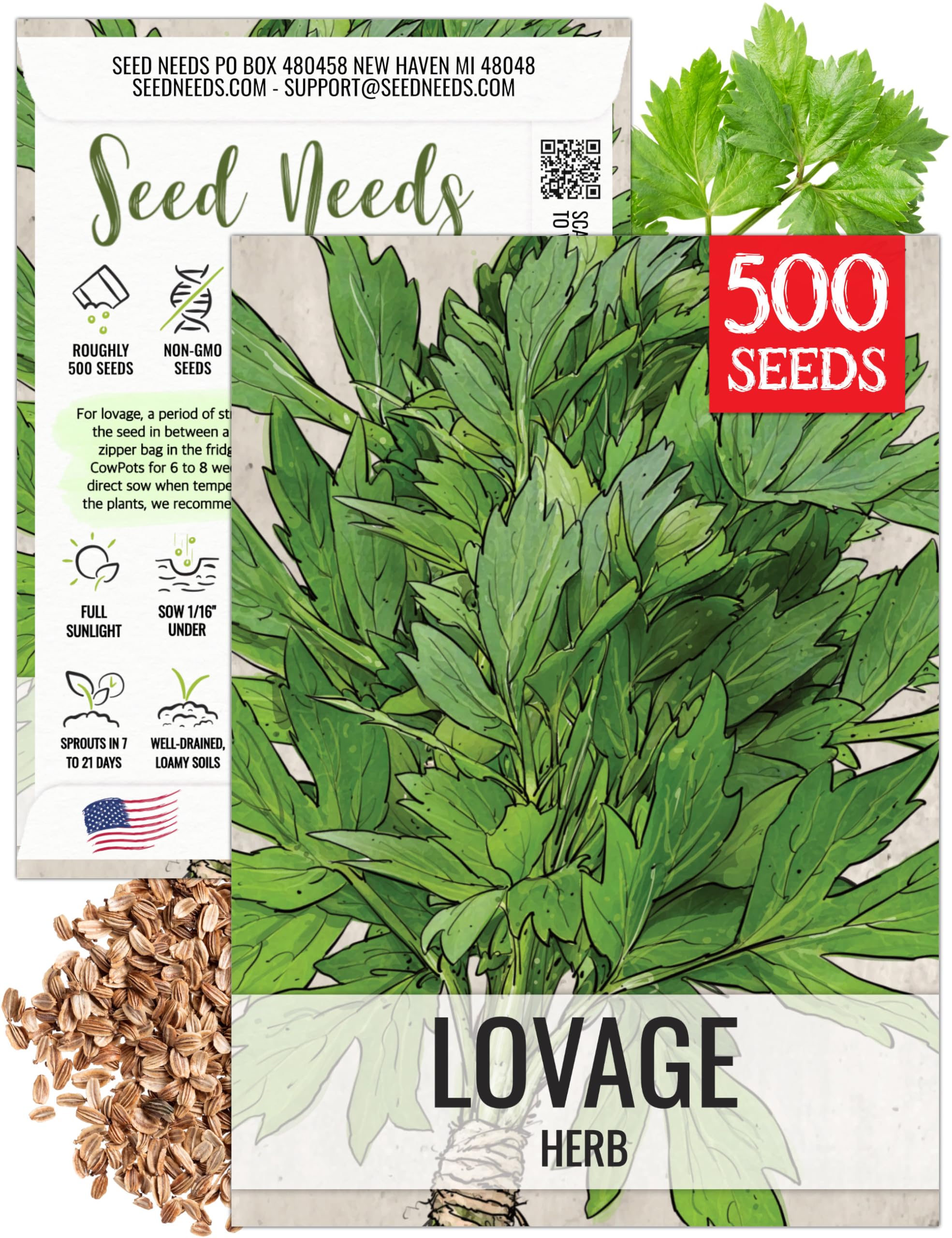 Seed Needs Lovage Seeds for Planting - Non-GMO Heirloom & Untreated Herbs to Plant a Medicinal/Culinary Home Grown Herb Garden Indoors or Outdoors (1 Pack)